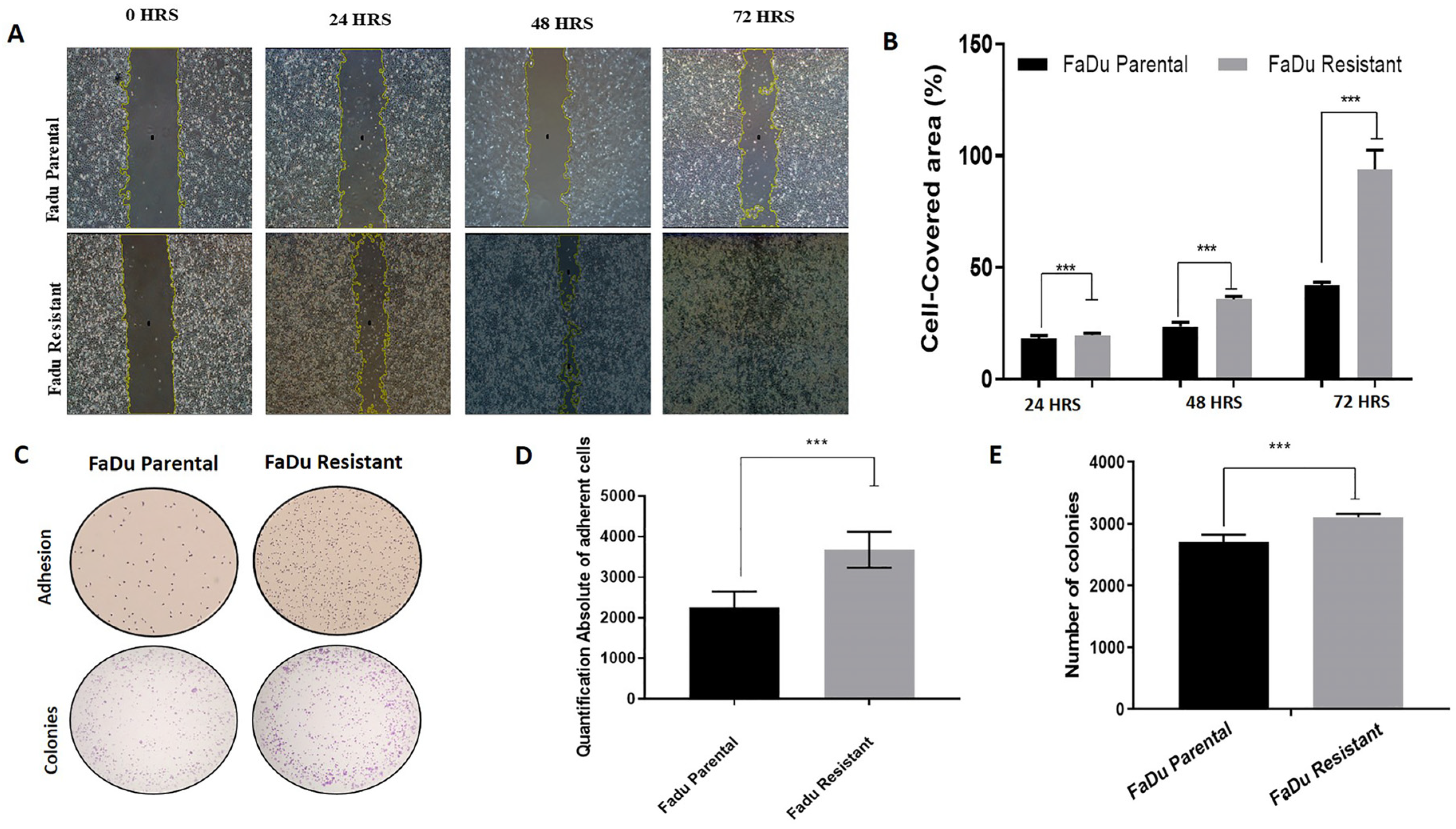 Cells 11 00154 g006 Cells 11 00154 g006
