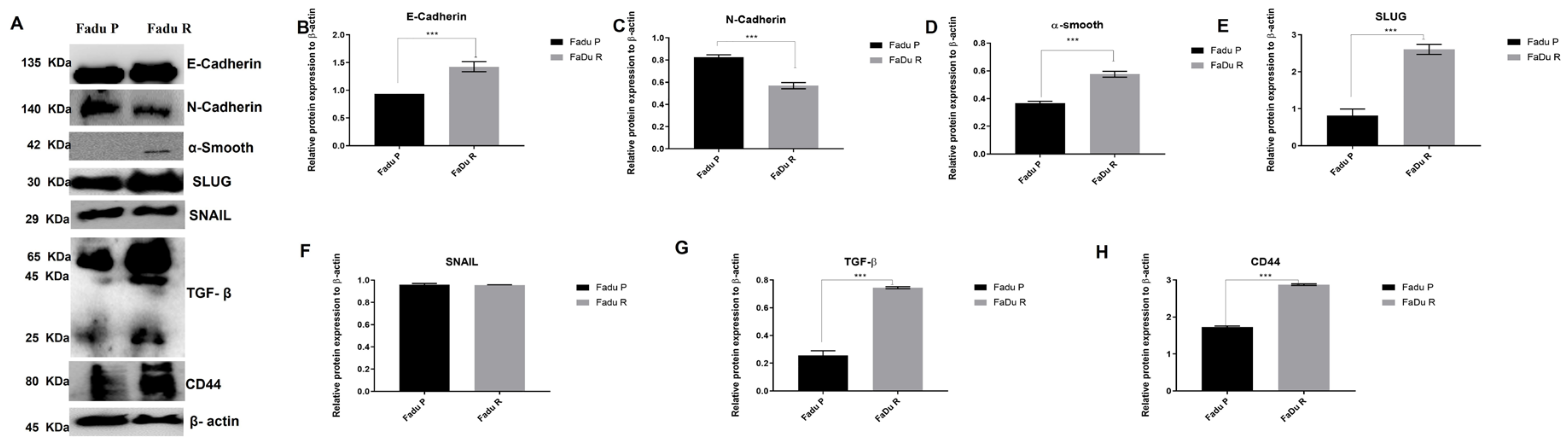 Cells 11 00154 g007 Cells 11 00154 g007