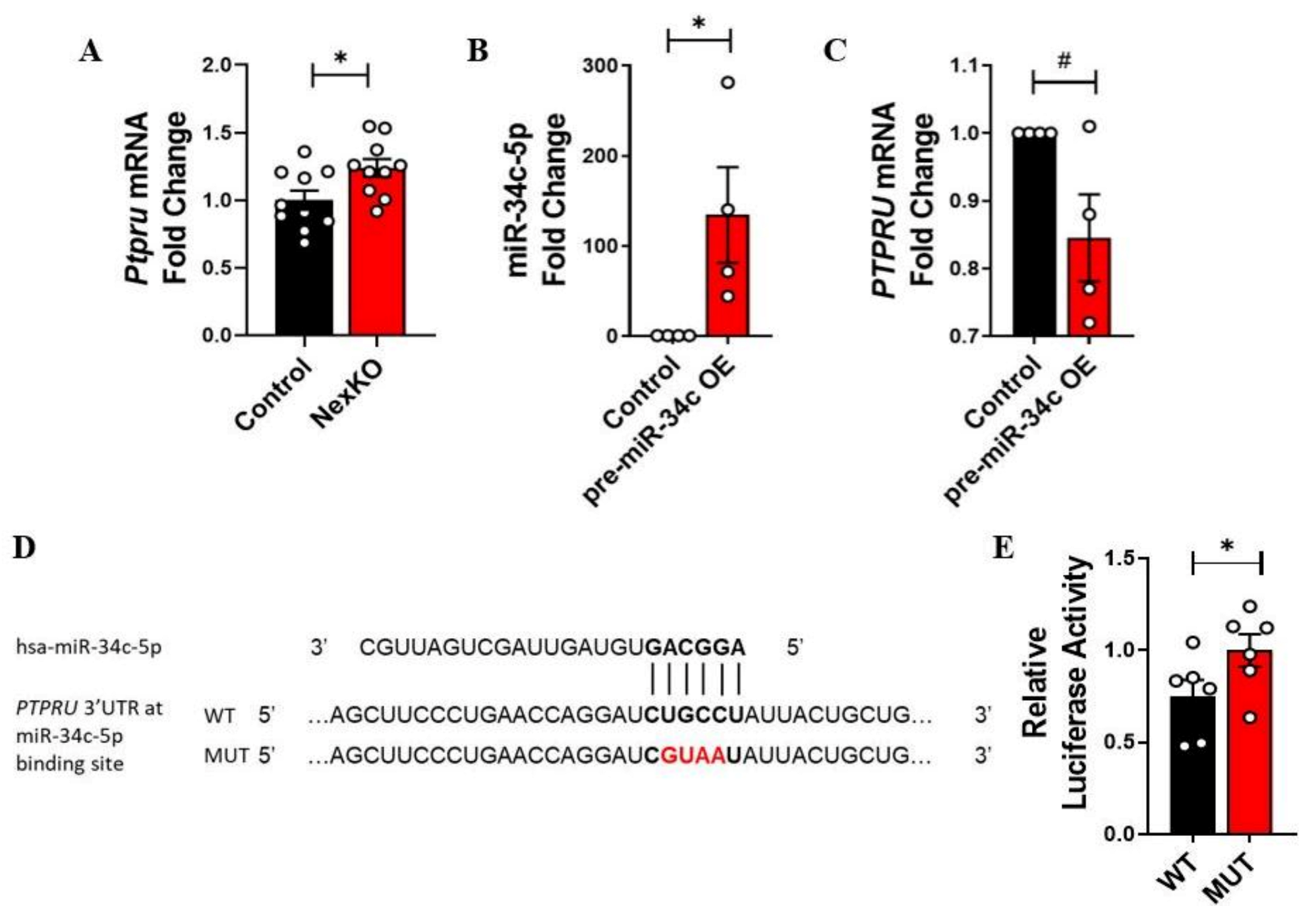 Cells 11 00158 g003 Cells 11 00158 g003
