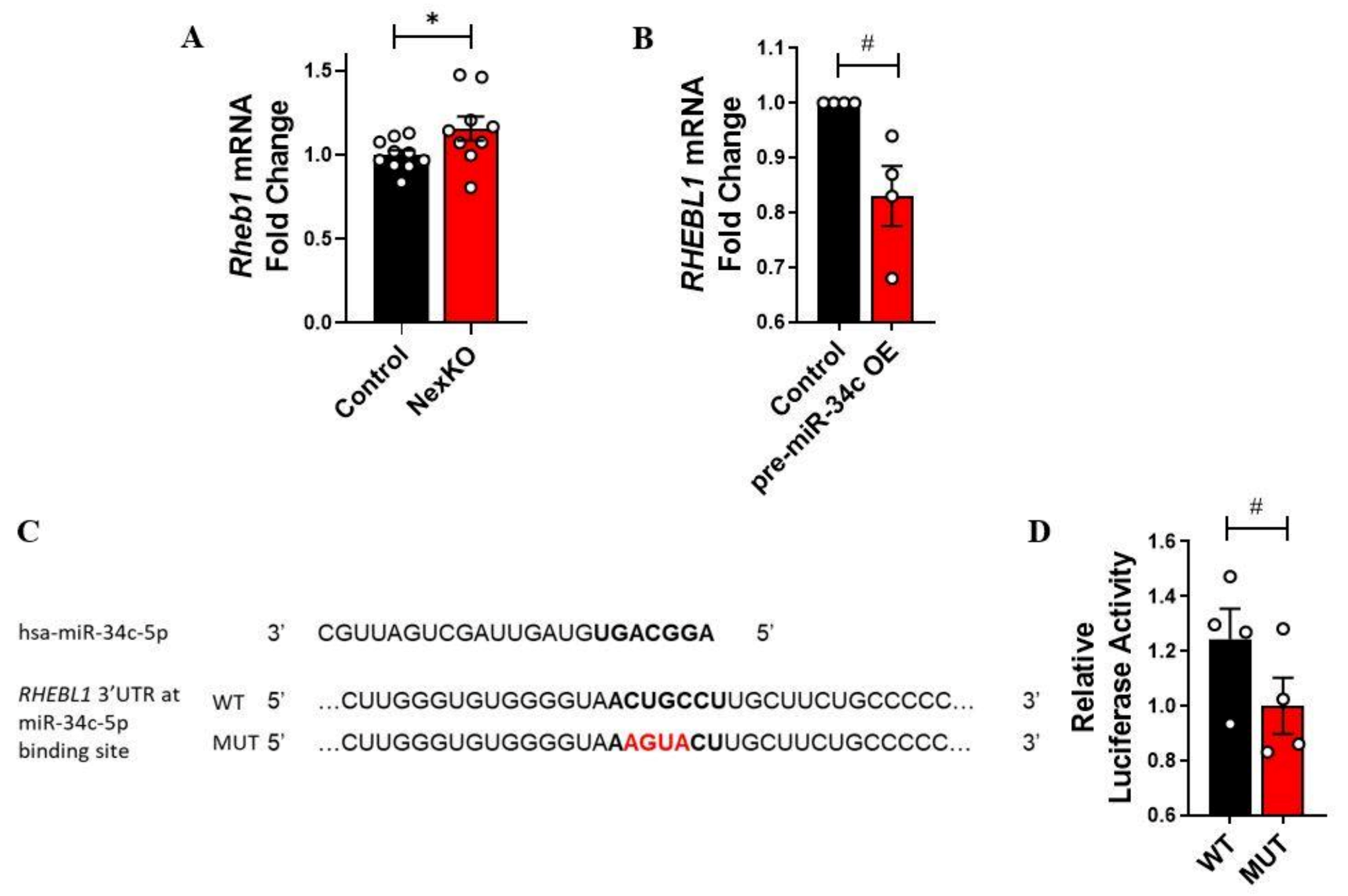 Cells 11 00158 g004 Cells 11 00158 g004