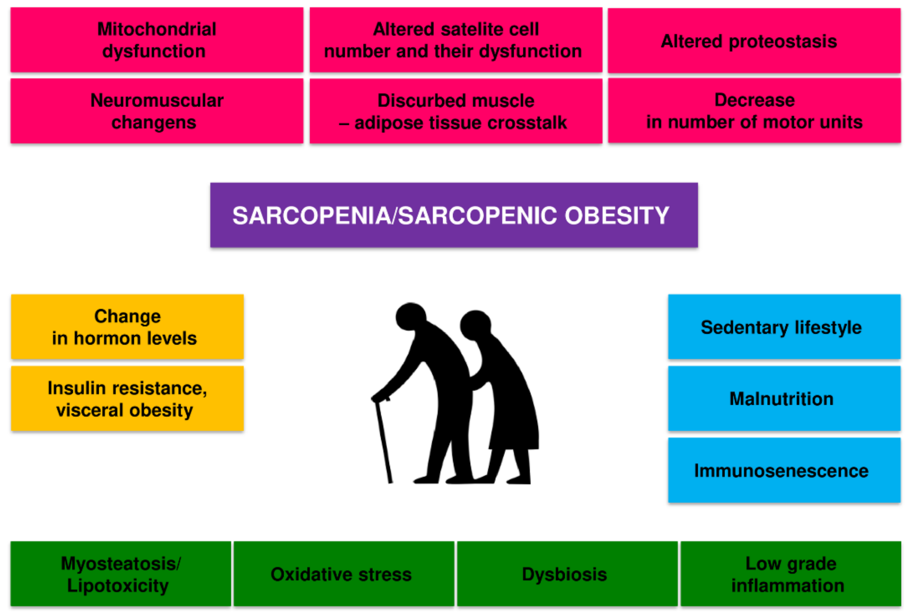 dysbiosis hipertónia