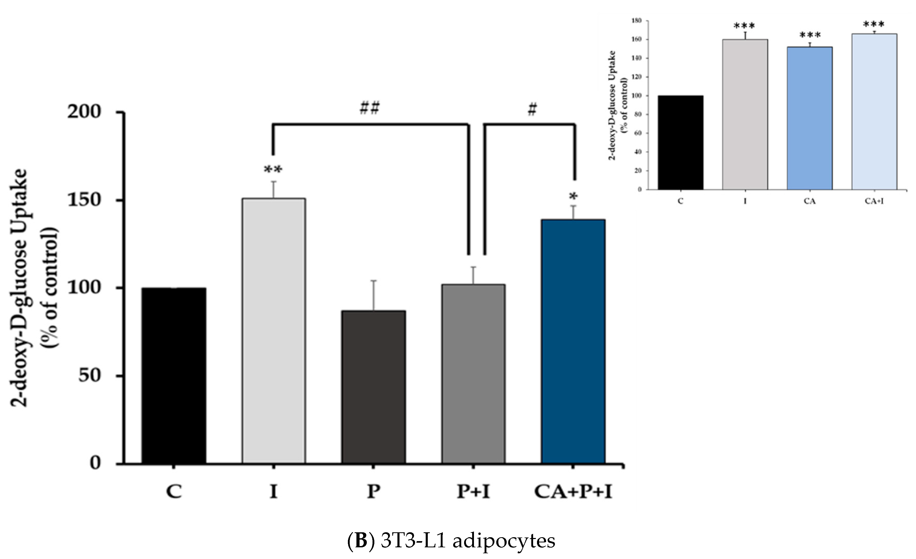 Cells 11 00167 g001b