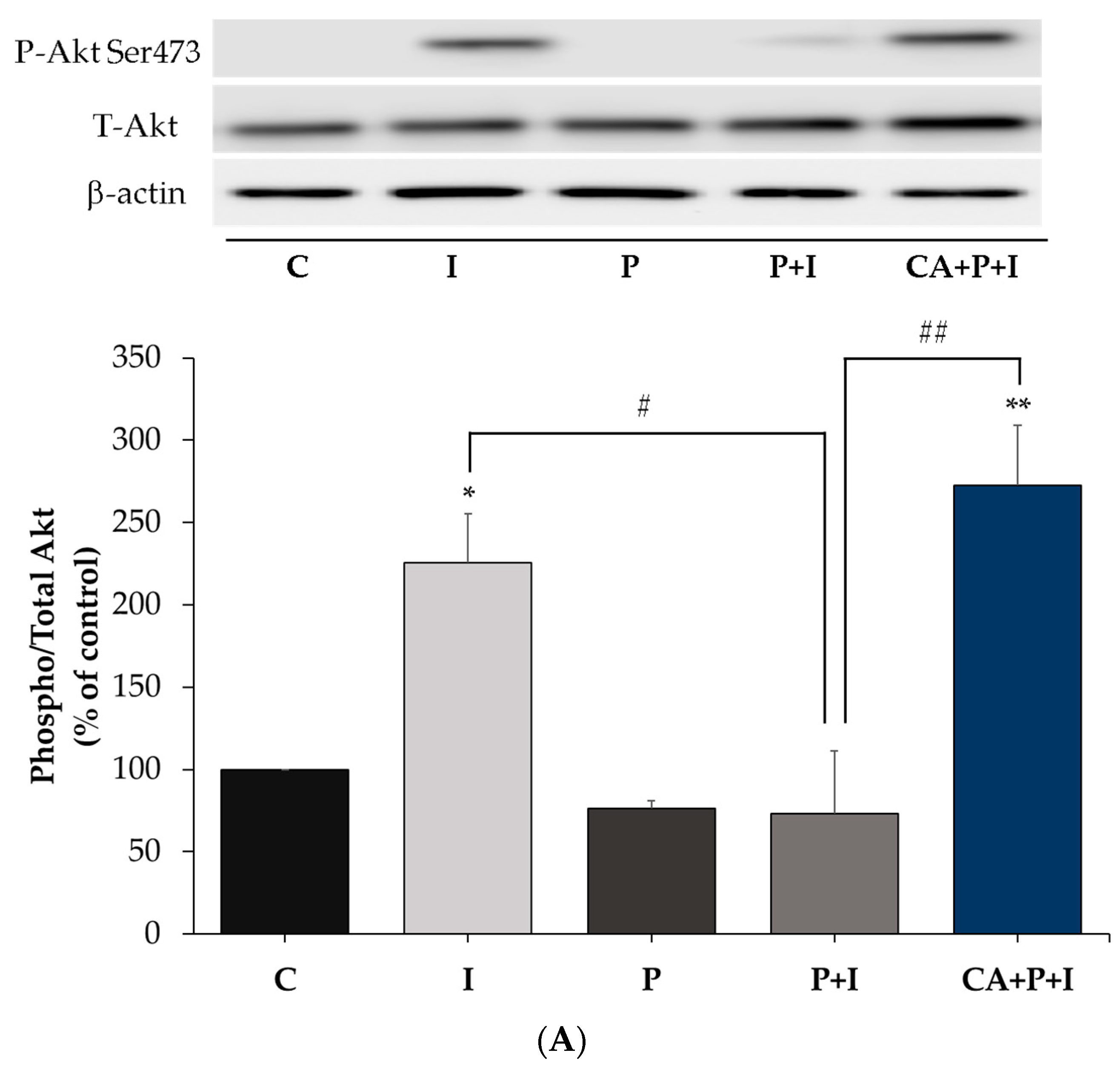 Cells 11 00167 g008a