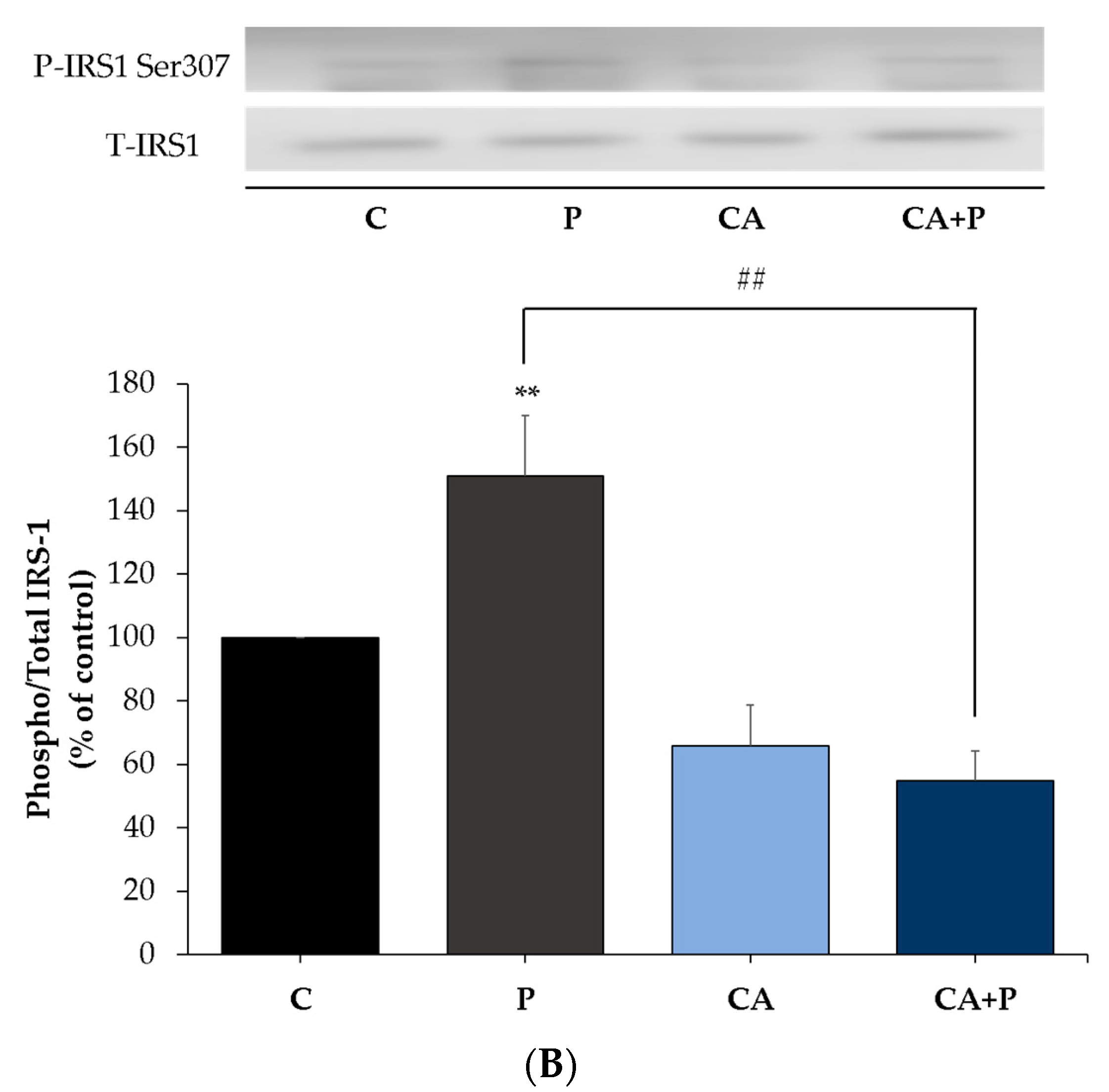 Cells 11 00167 g008b