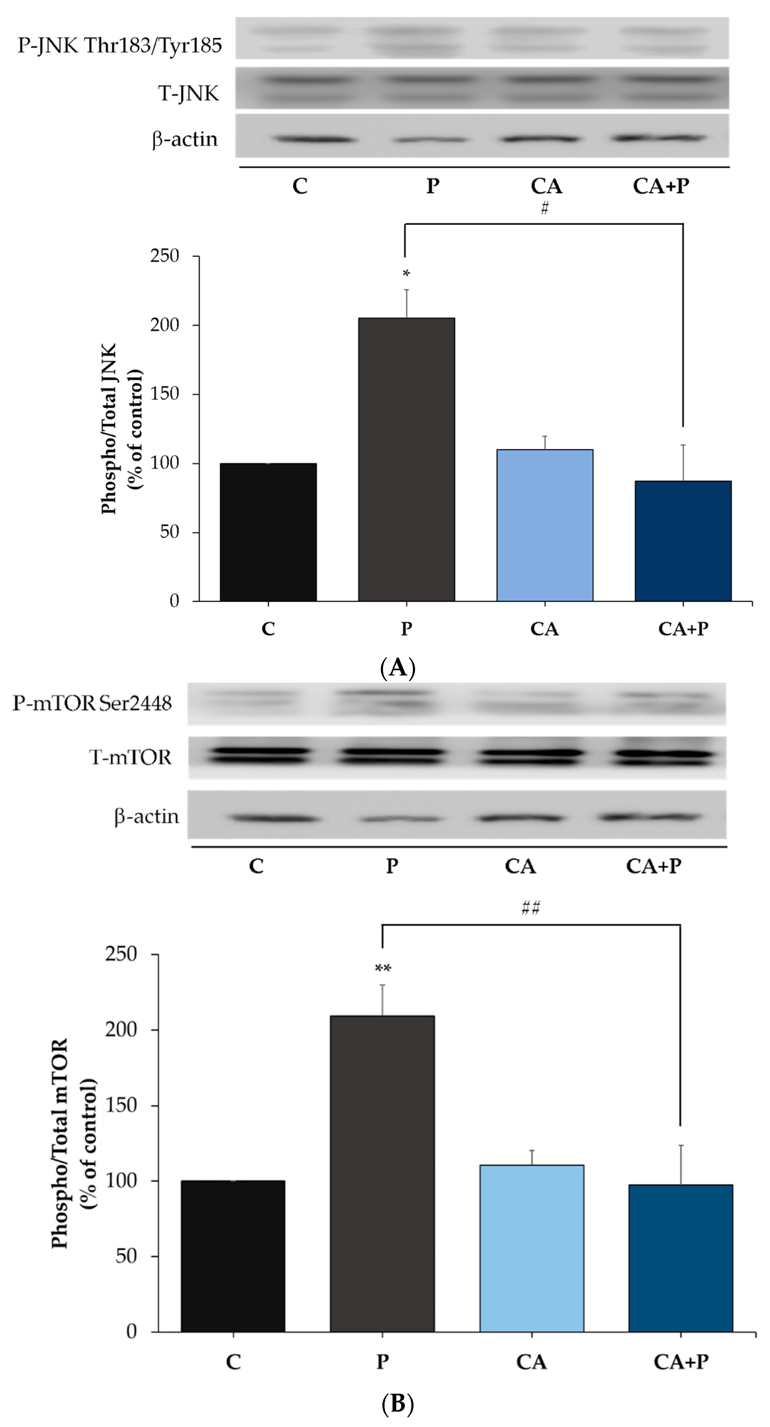 Cells 11 00167 g009a