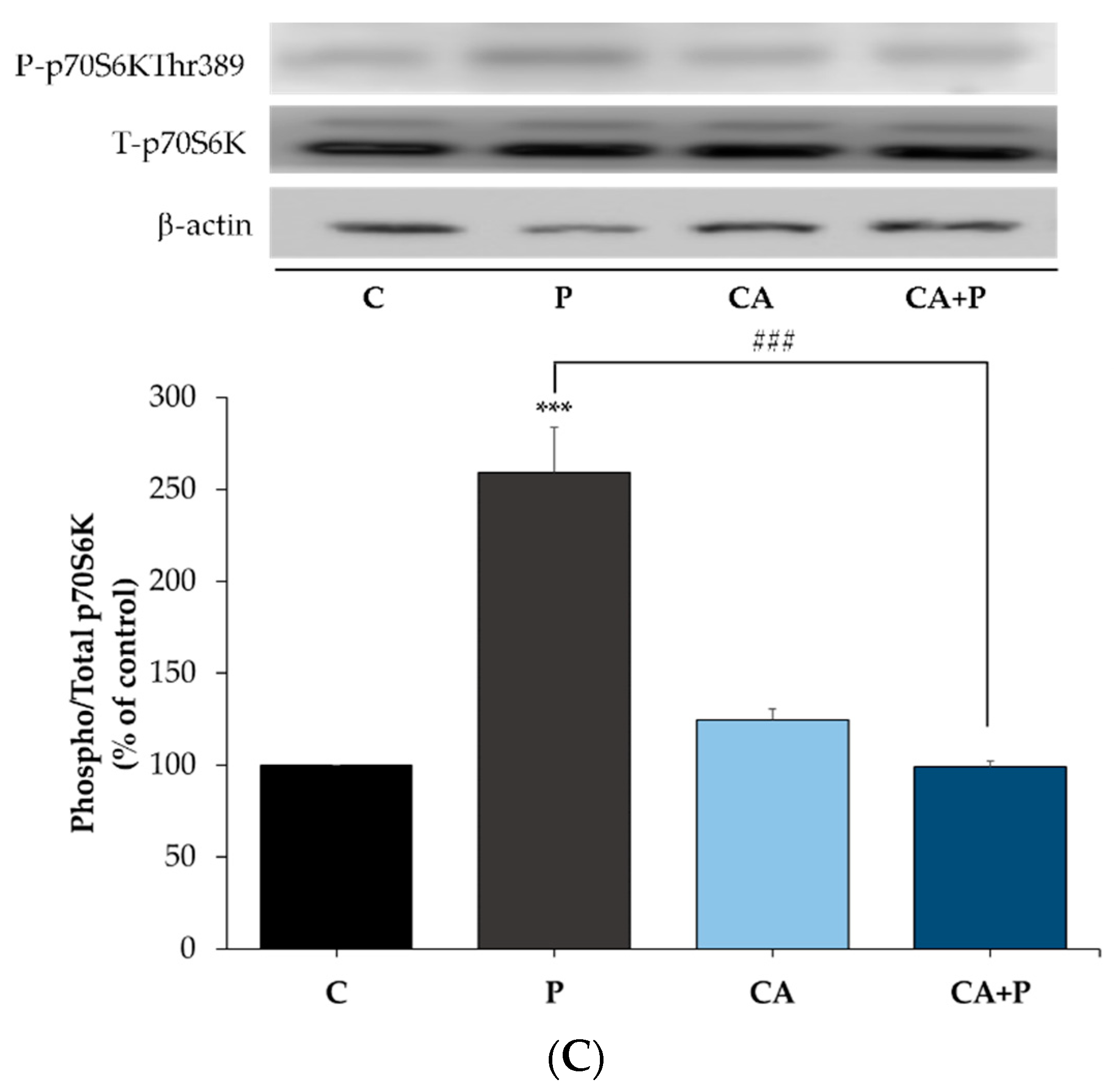 Cells 11 00167 g009b