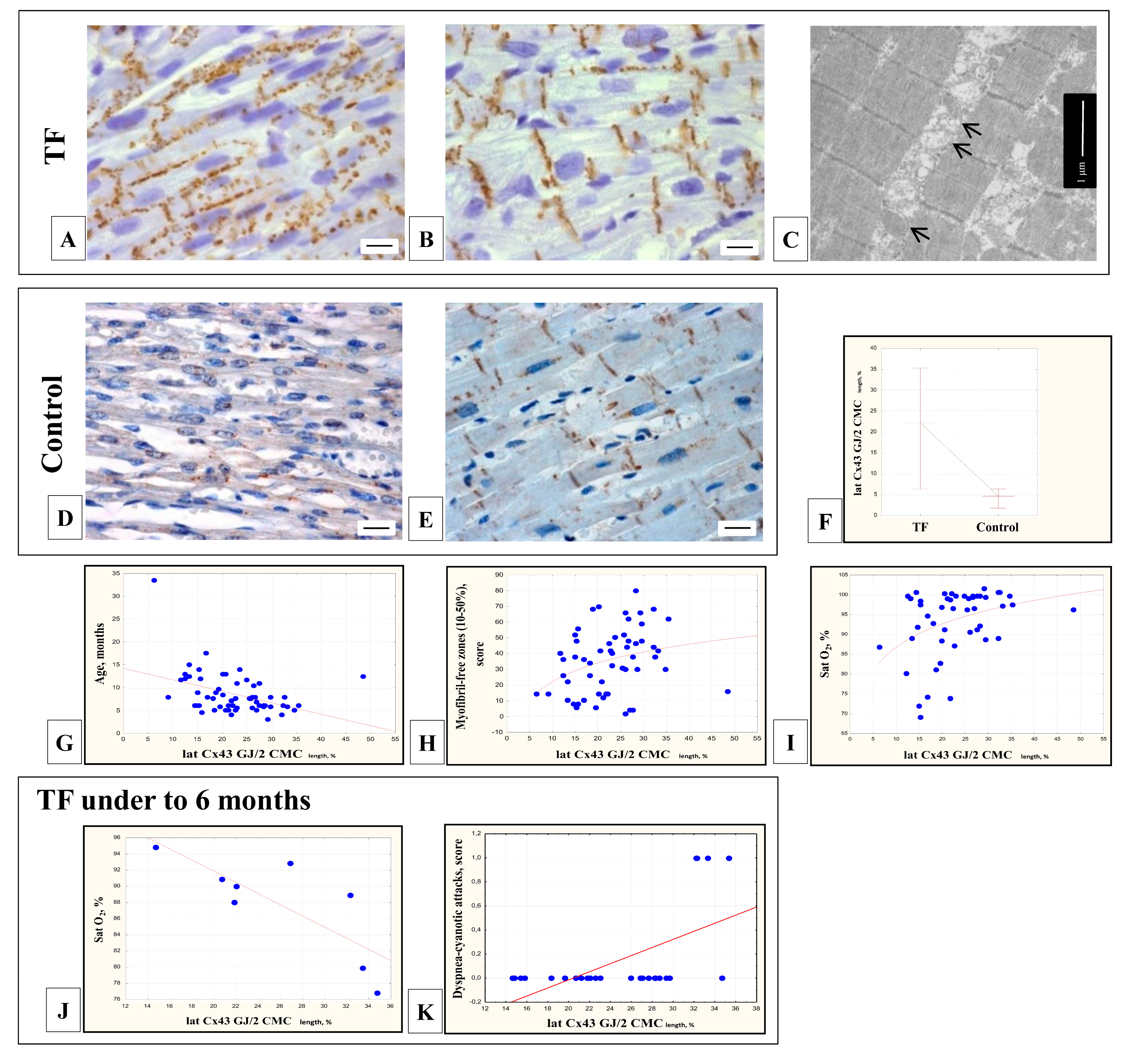 Cells 11 00175 g003 Cells 11 00175 g003