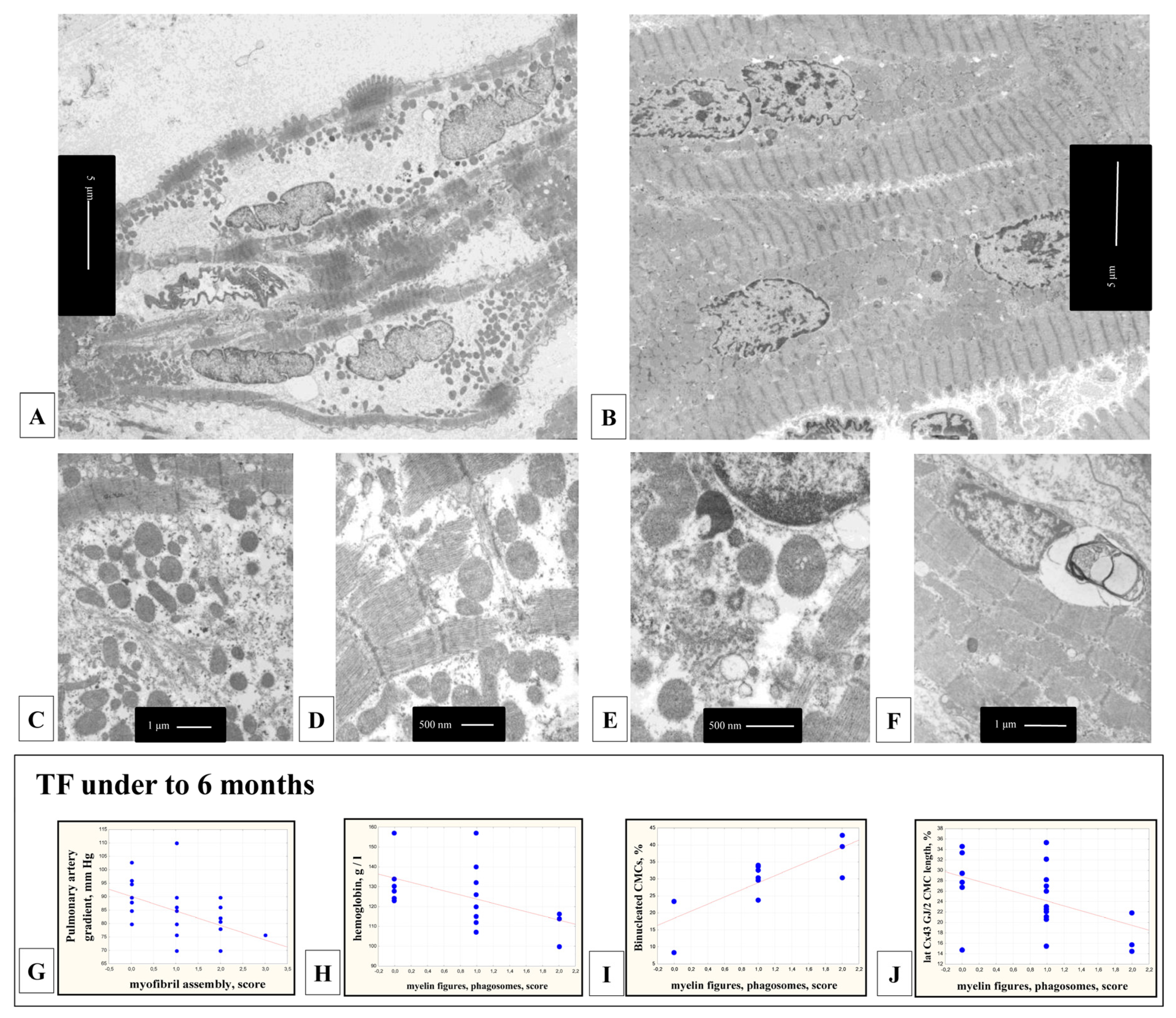 Cells 11 00175 g004 Cells 11 00175 g004