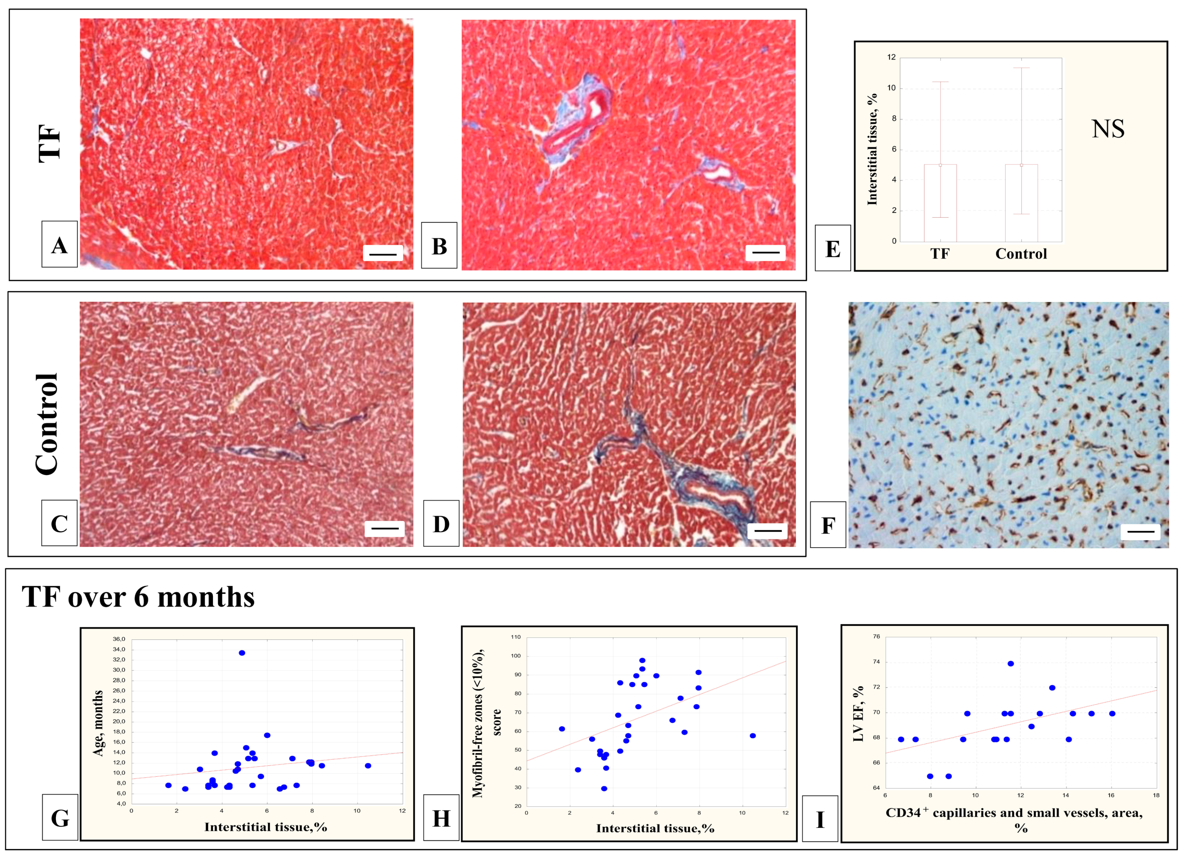 Cells 11 00175 g005 Cells 11 00175 g005