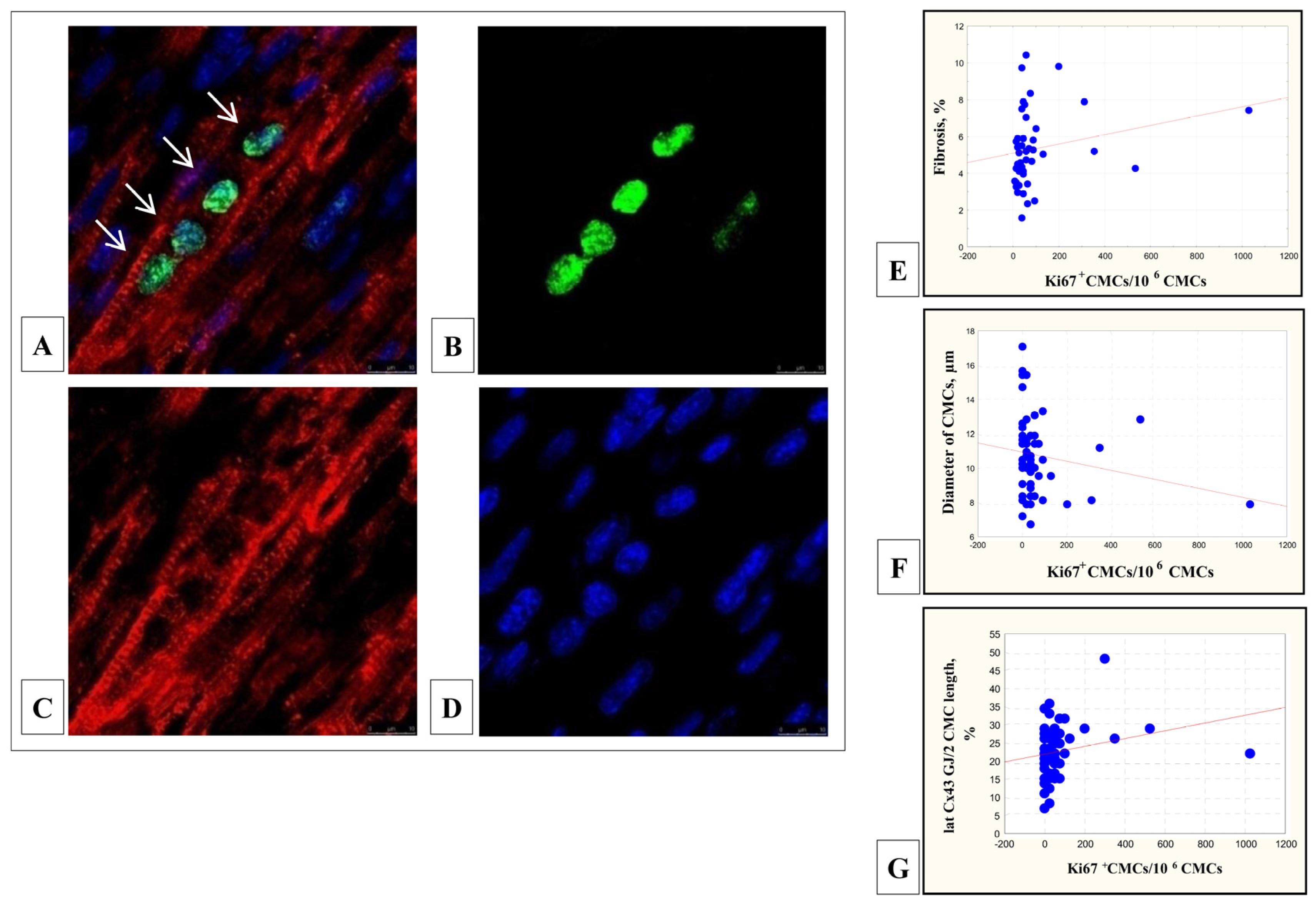 Cells 11 00175 g006 Cells 11 00175 g006