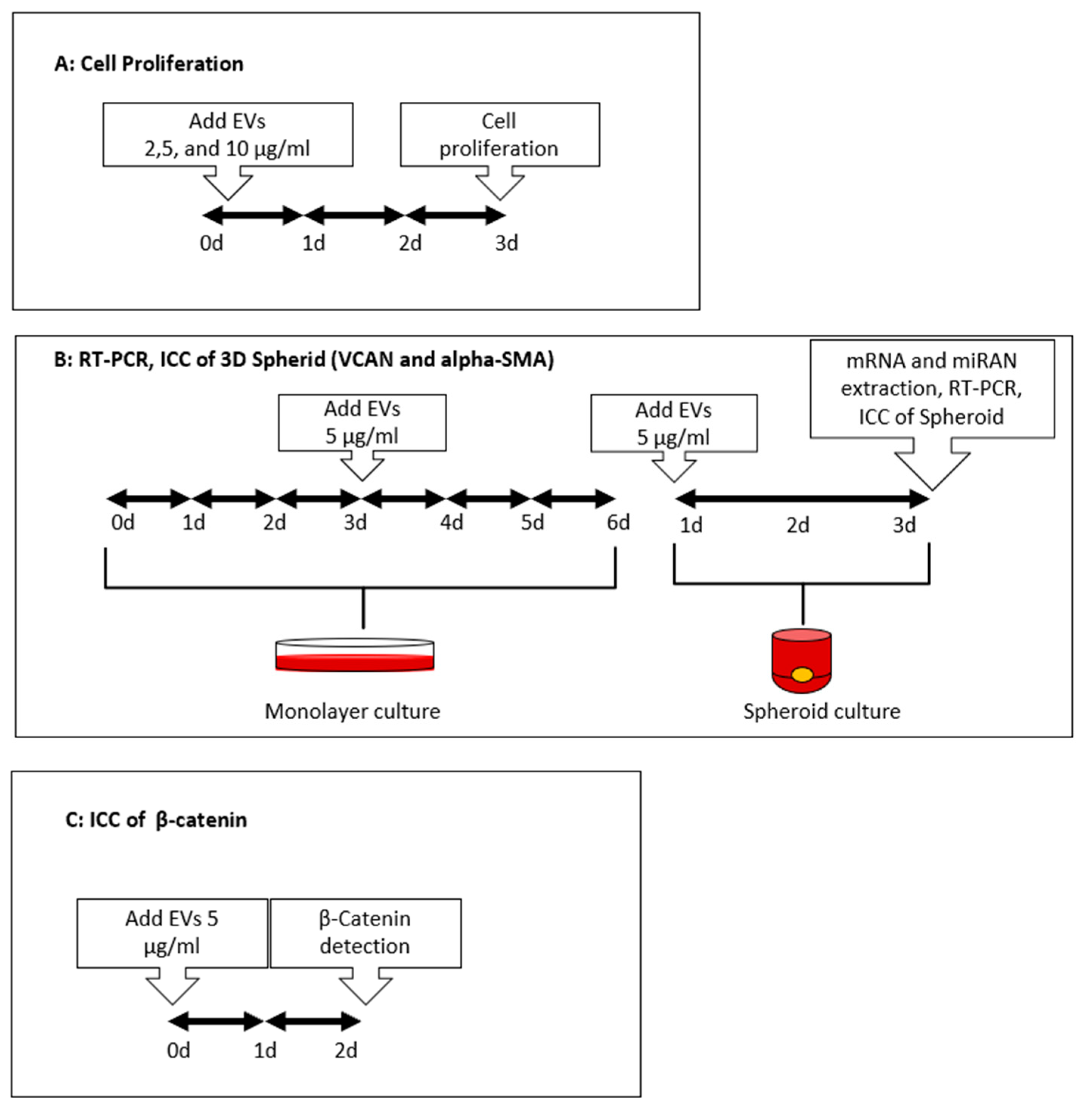 Cells 11 00202 sch001