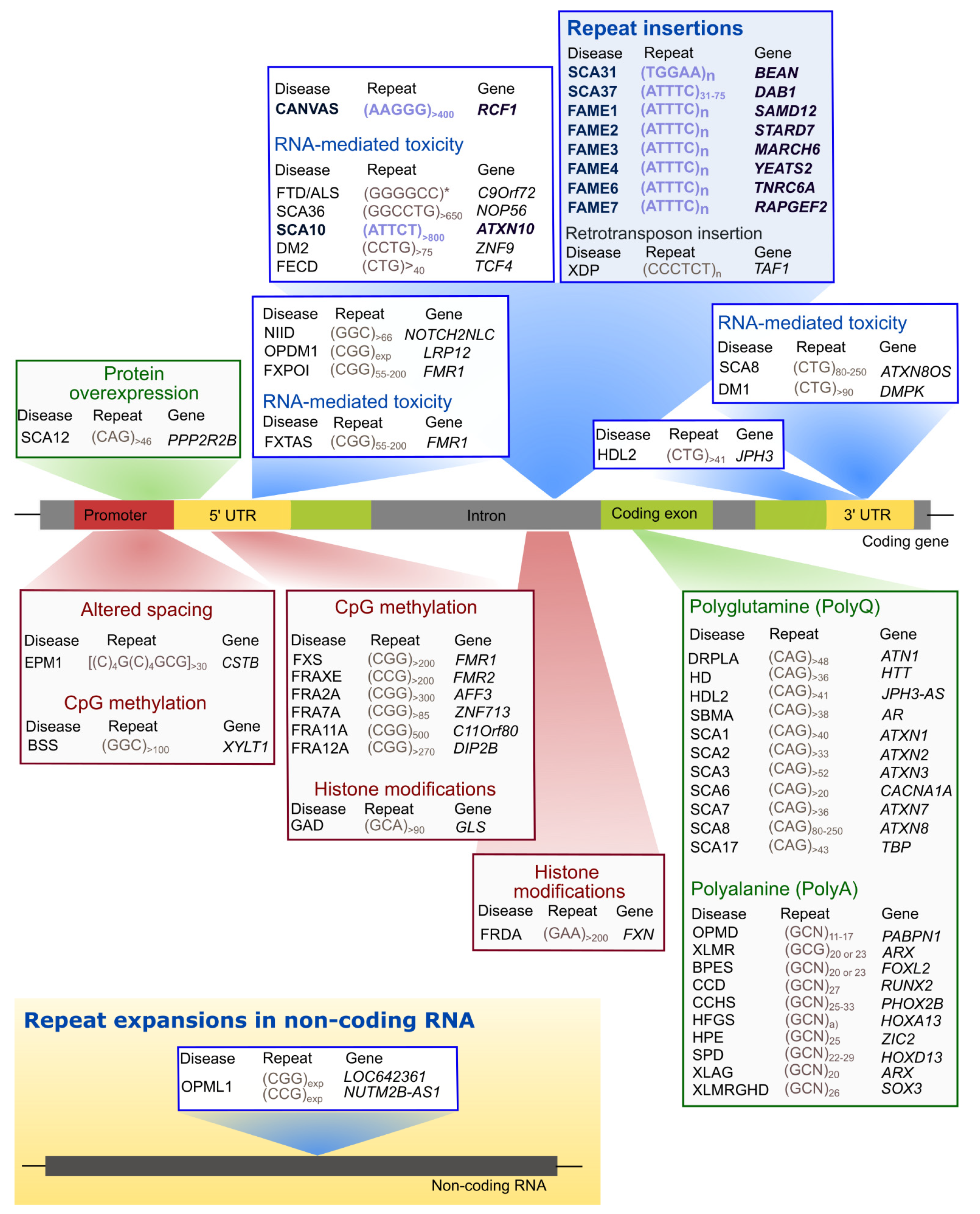 Cells 11 00205 g001 Cells 11 00205 g001