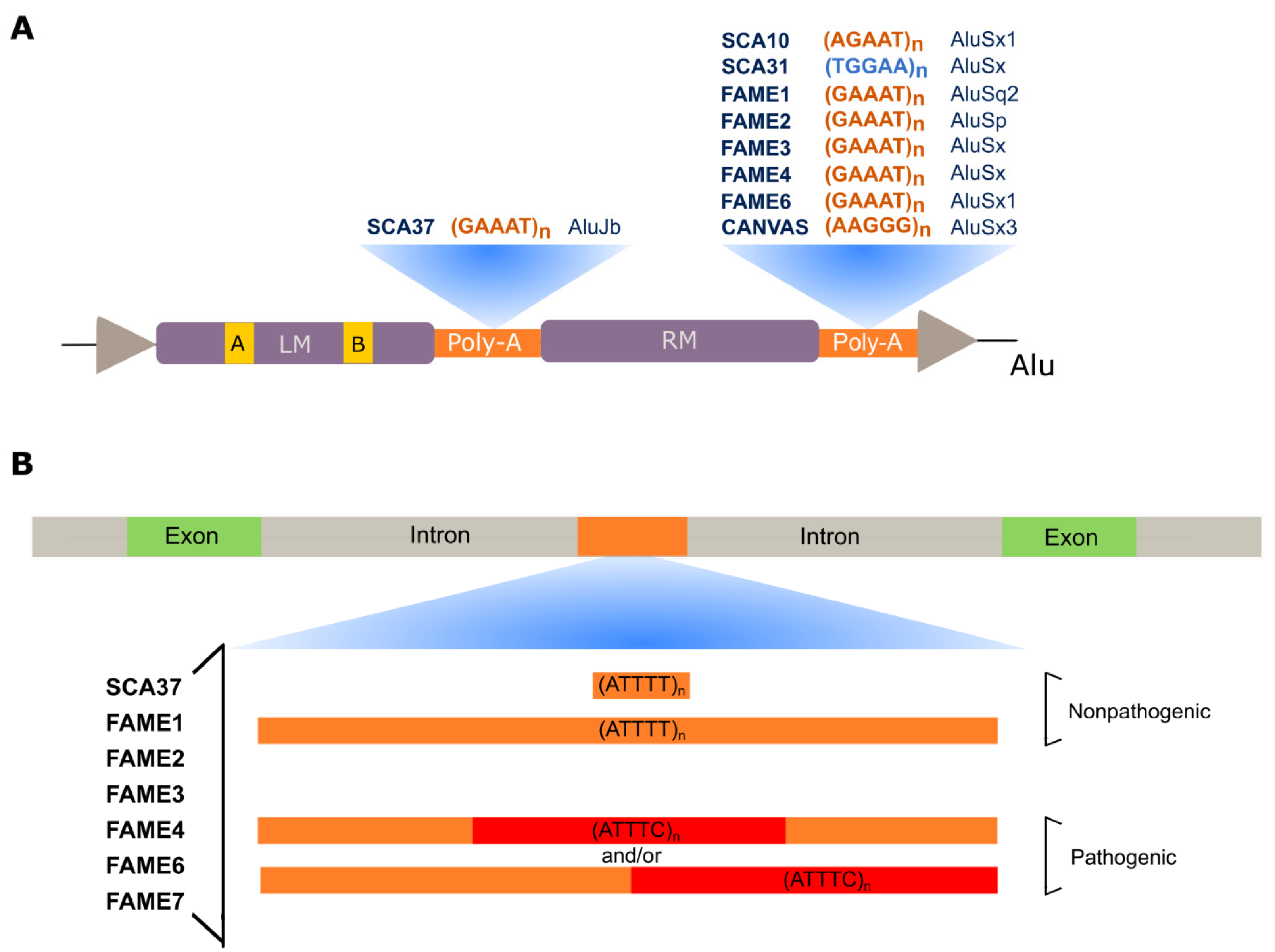 Cells 11 00205 g003 Cells 11 00205 g003