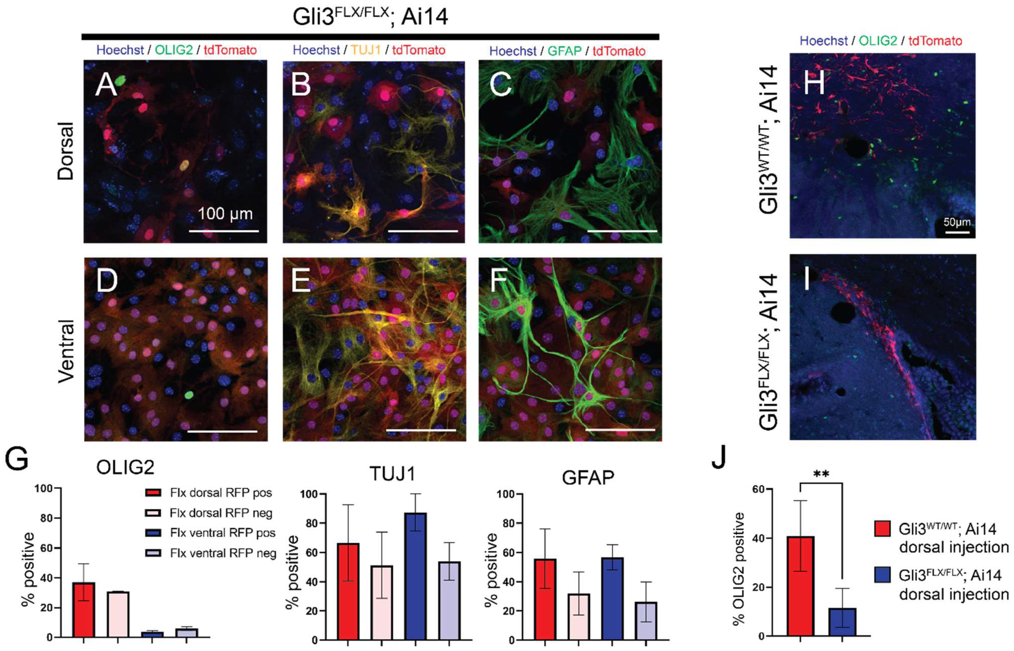 Cells 11 00218 g004 550