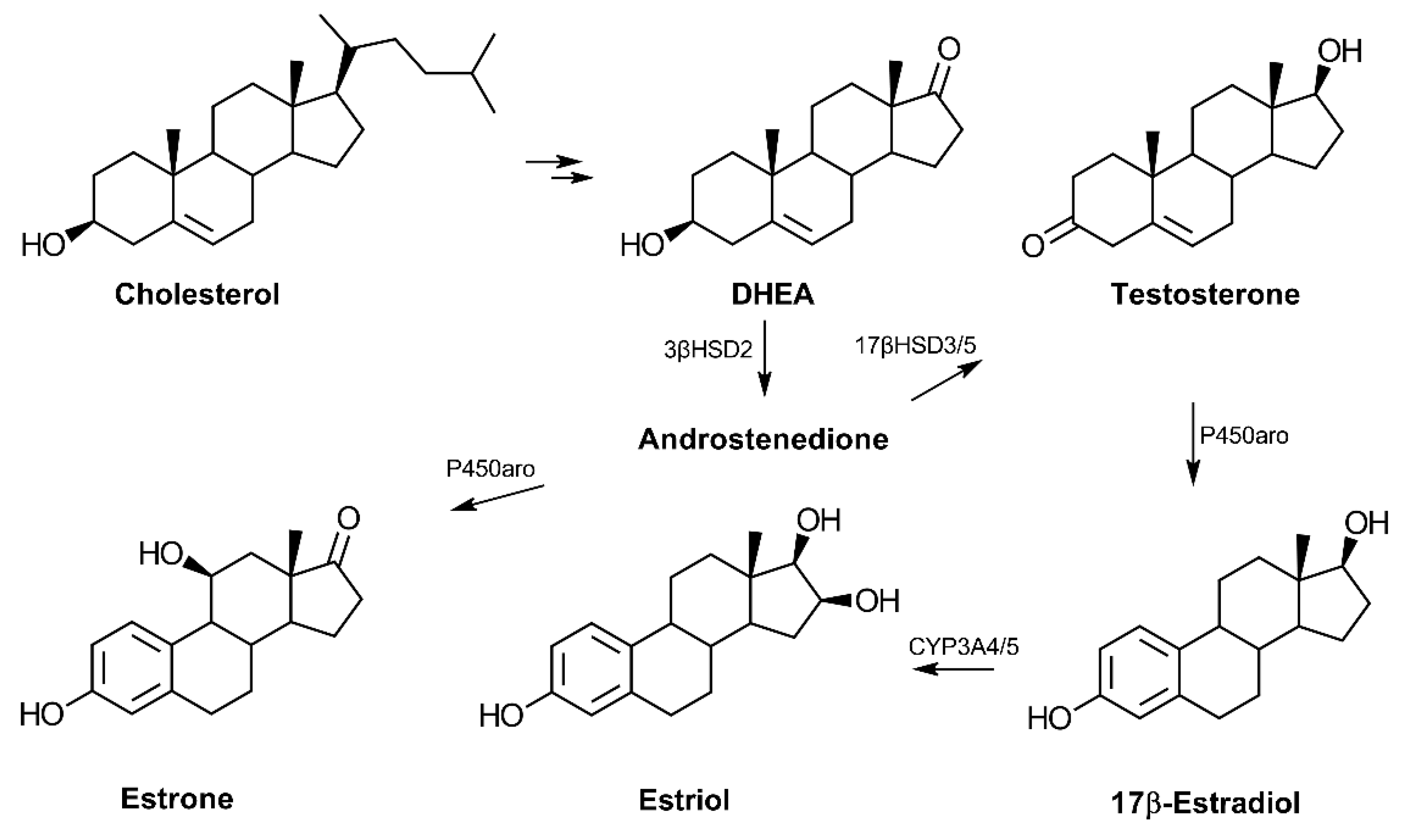 Cells 11 00224 g001 Cells 11 00224 g001