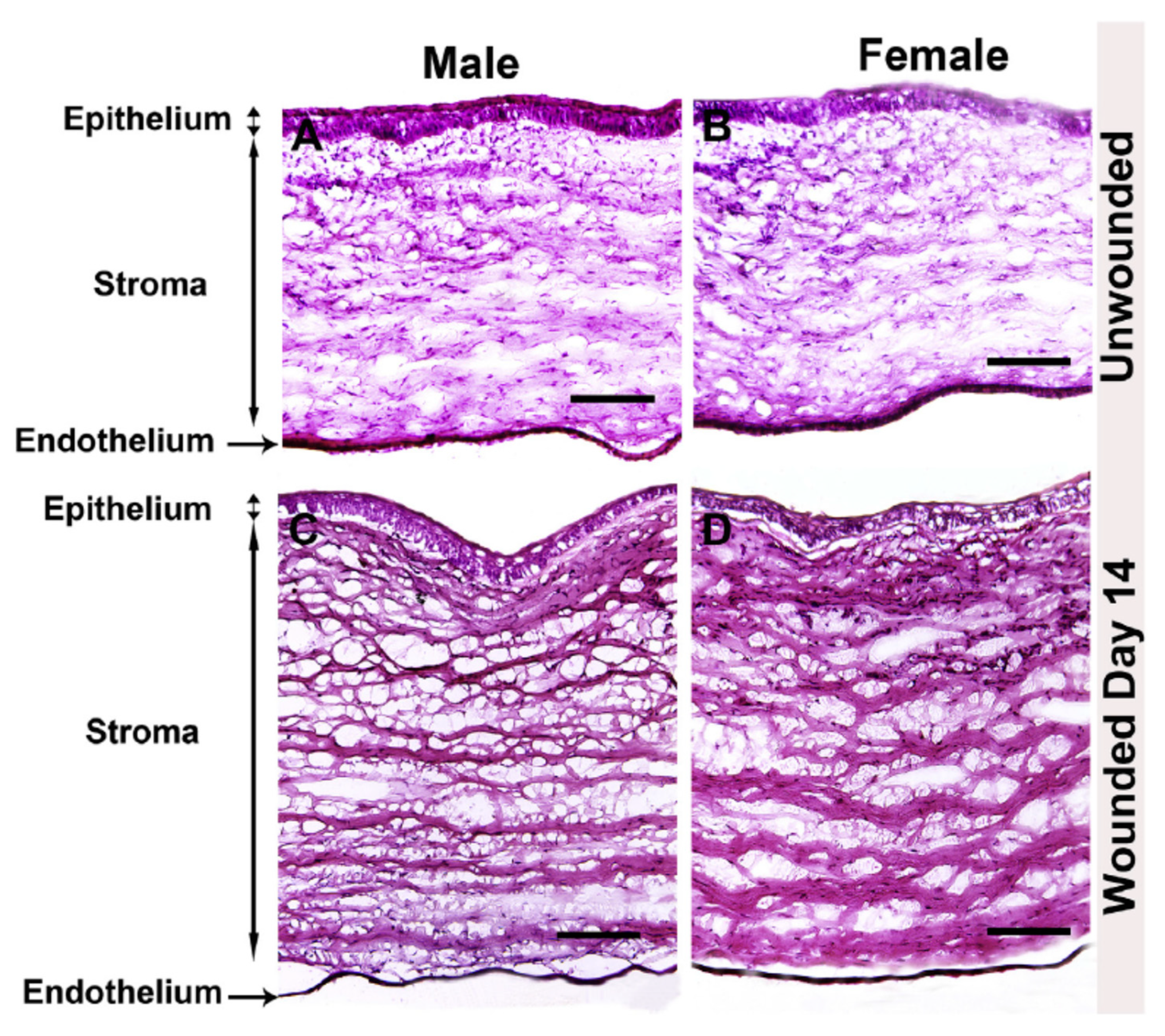 Cells 11 00224 g002 Cells 11 00224 g002