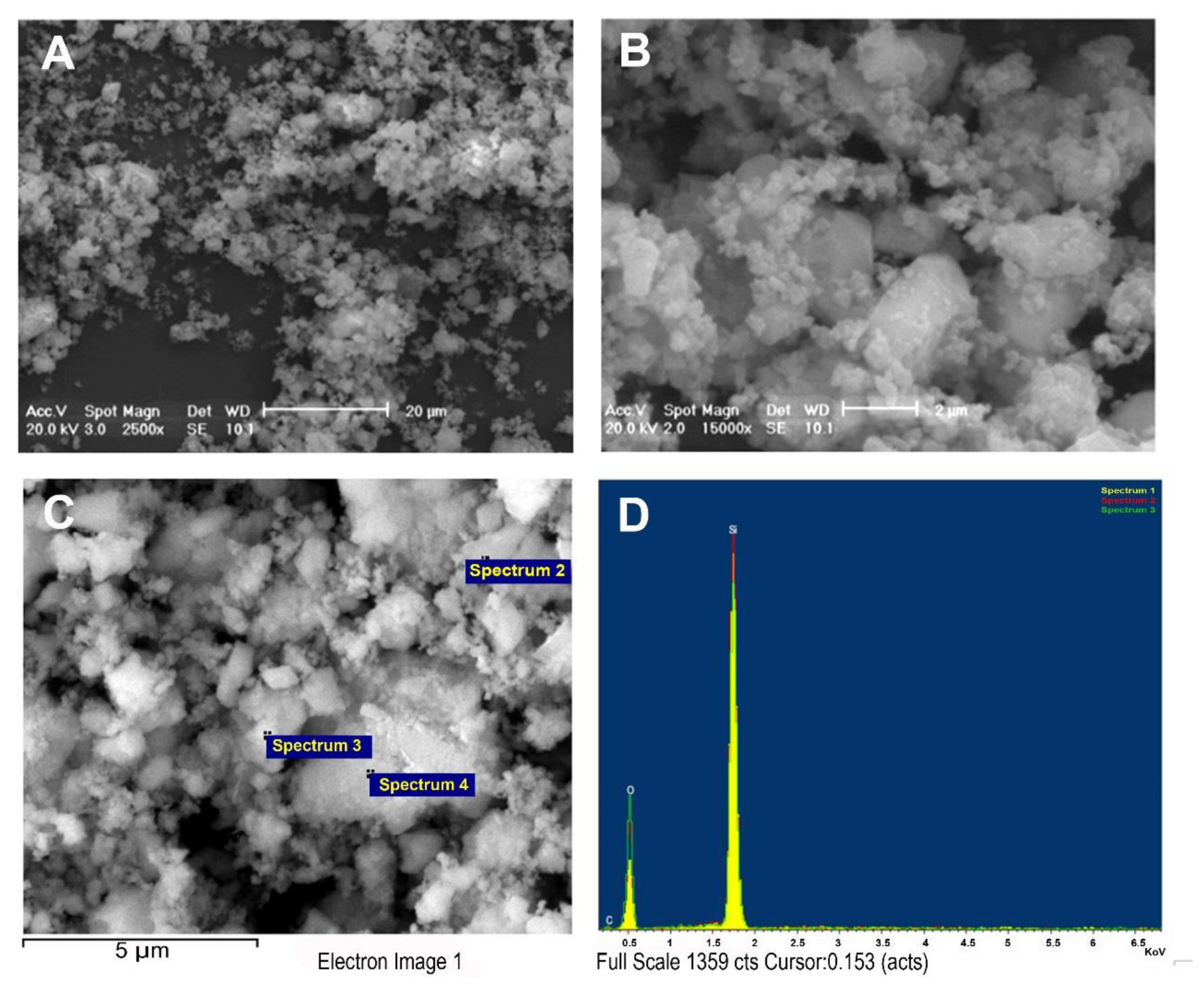 Cells 11 00226 g002 550