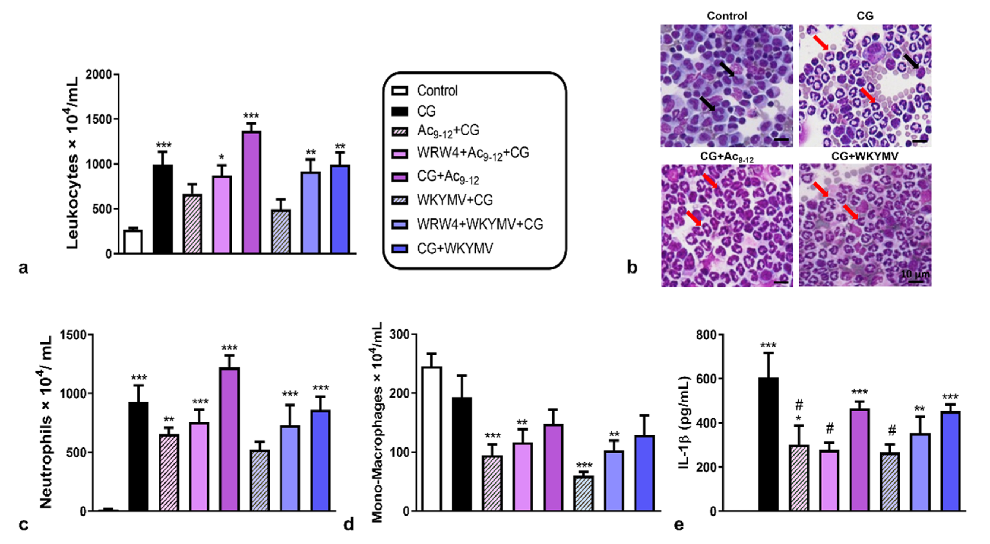 Cells 11 00228 g001 Cells 11 00228 g001