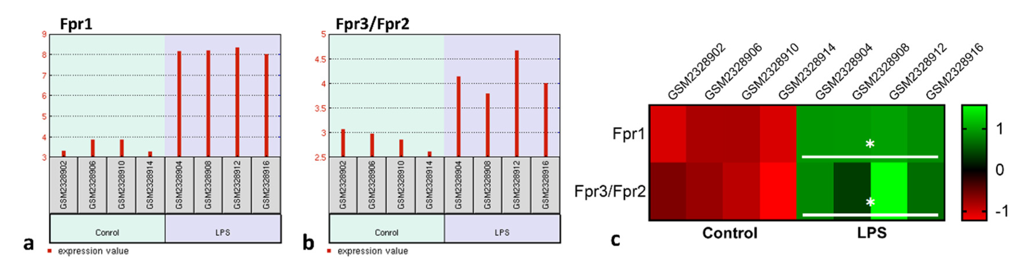 Cells 11 00228 g002 Cells 11 00228 g002
