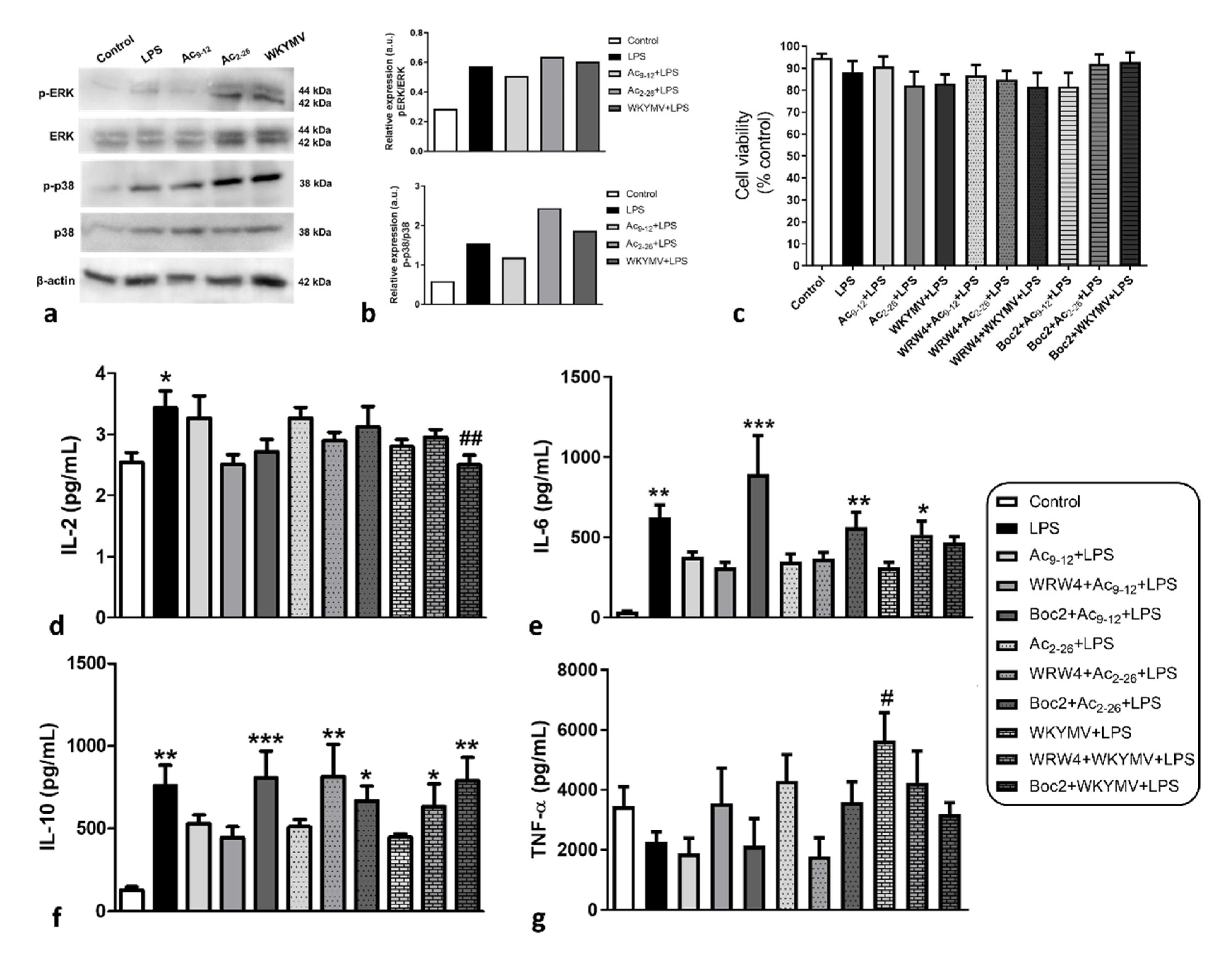 Cells 11 00228 g003 Cells 11 00228 g003