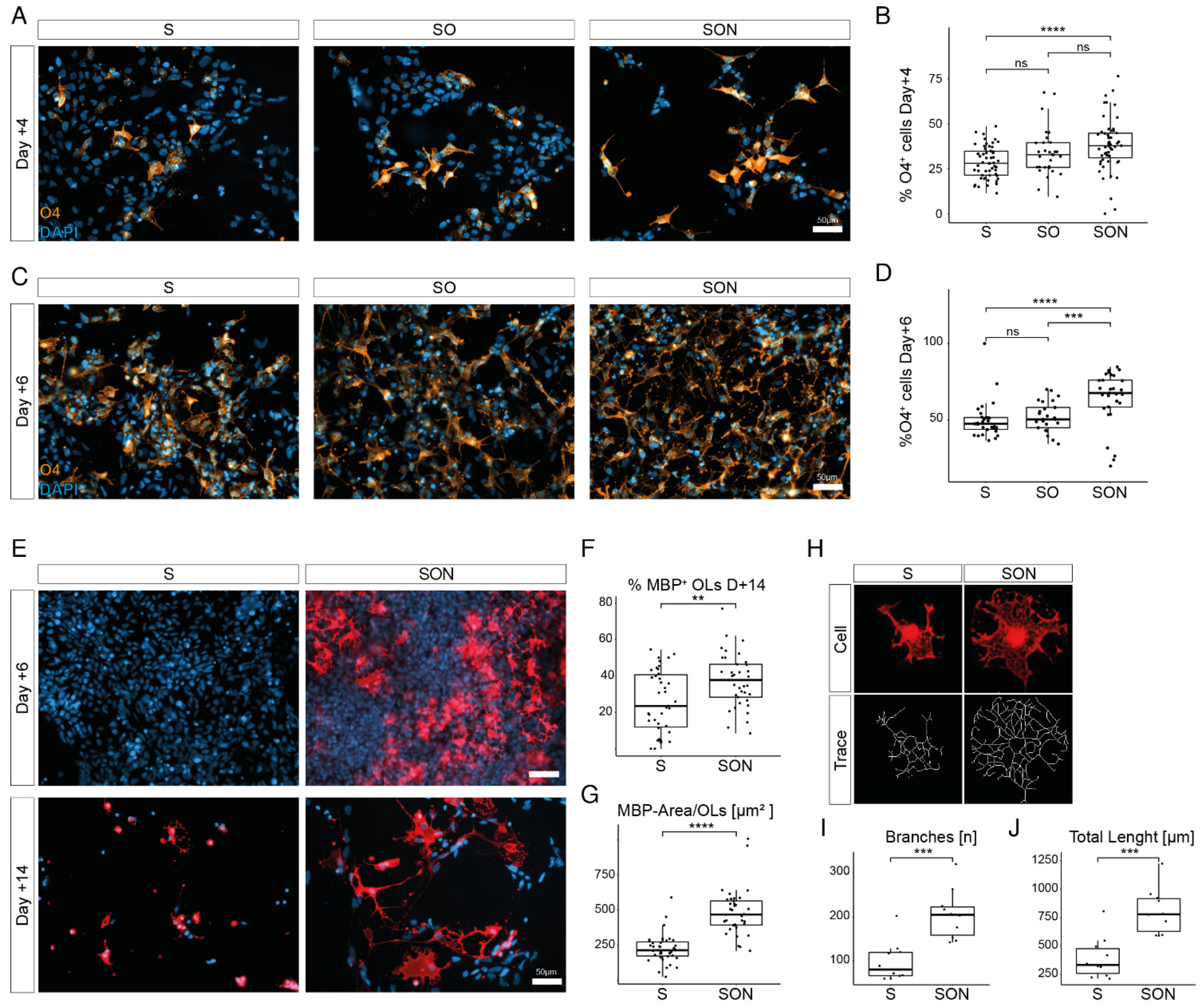Cells 11 00241 g002 550