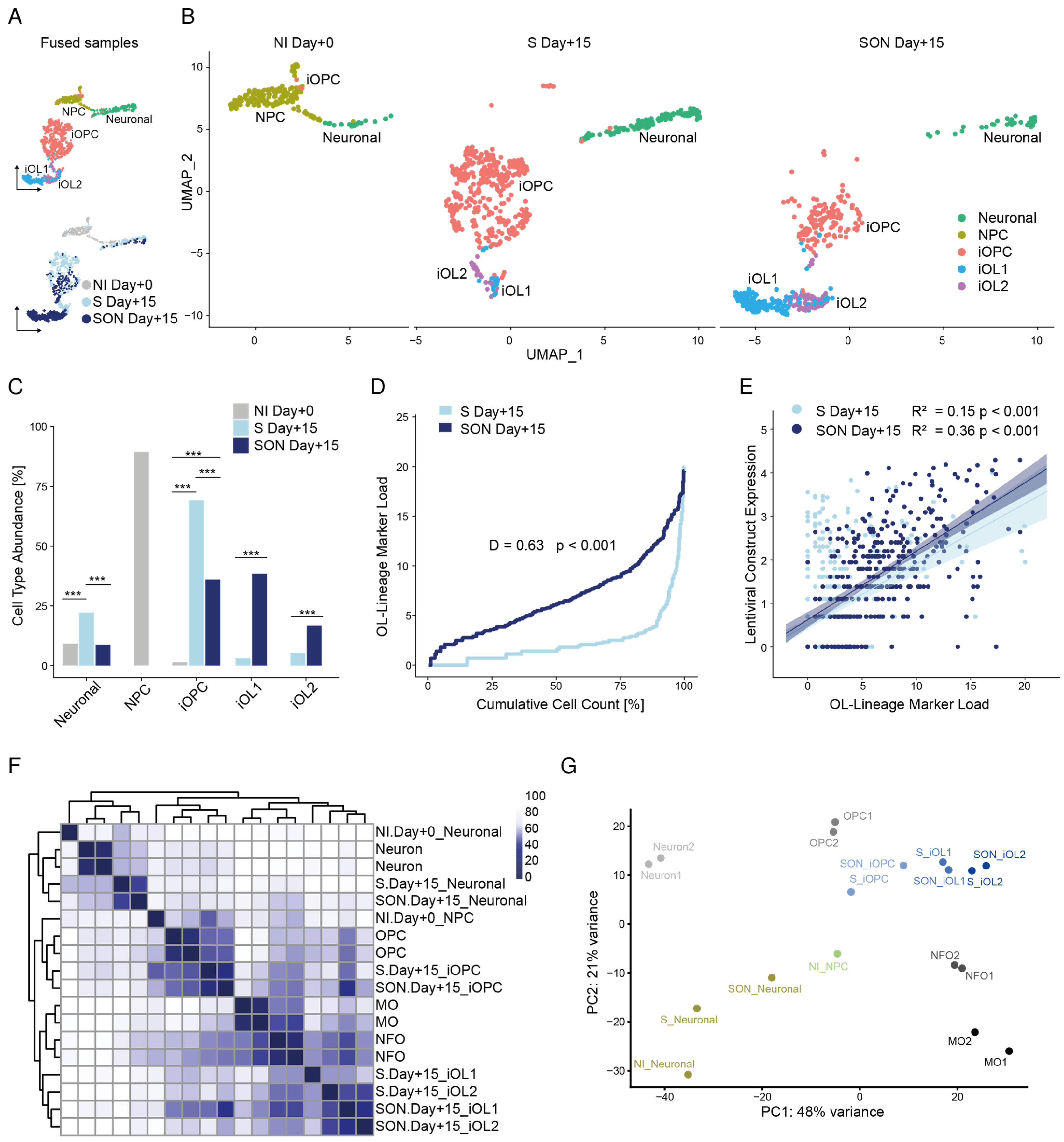 Cells 11 00241 g003 550