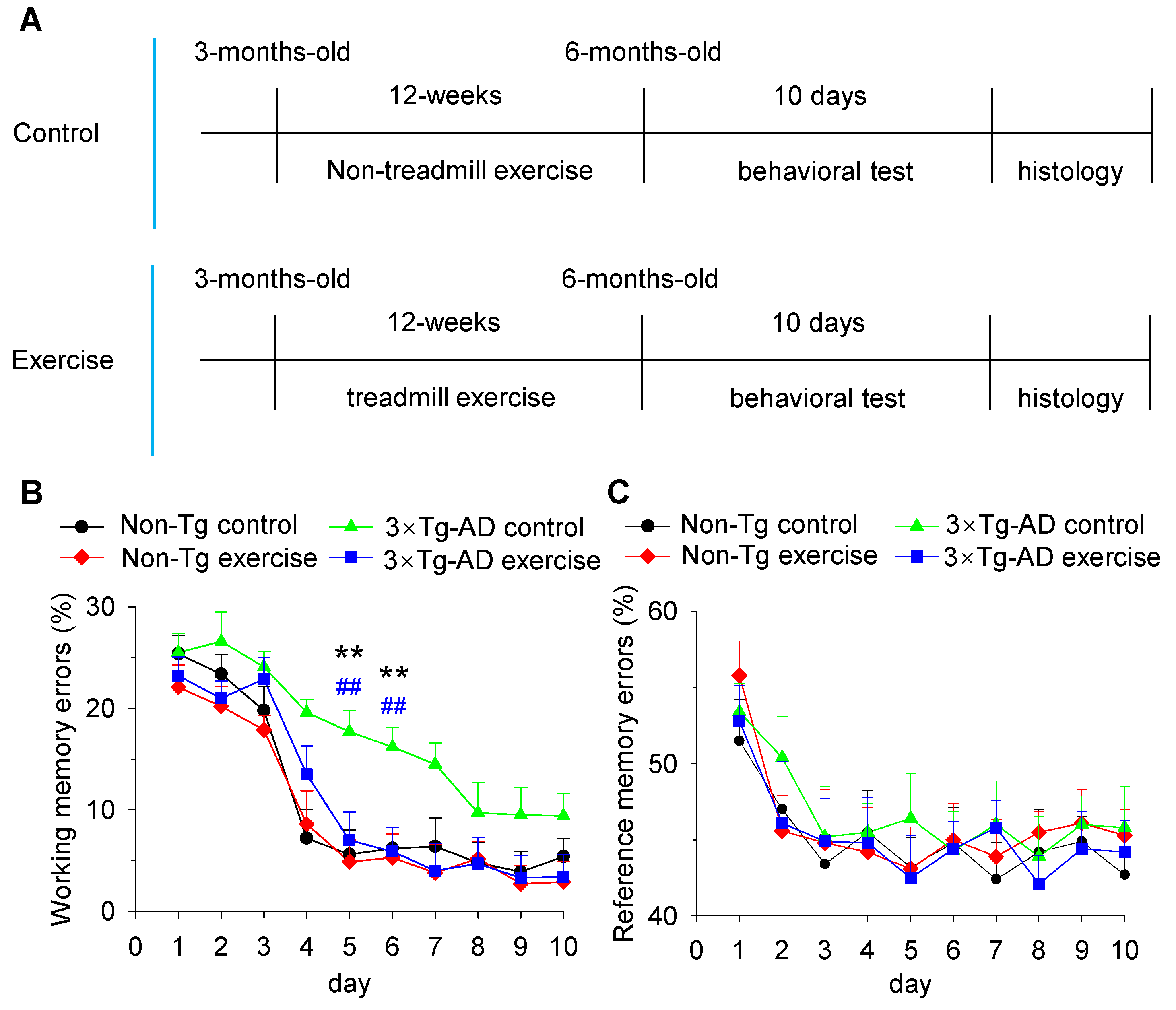 Cells Free FullText Treadmill Exercise Prevents Decline in Spatial