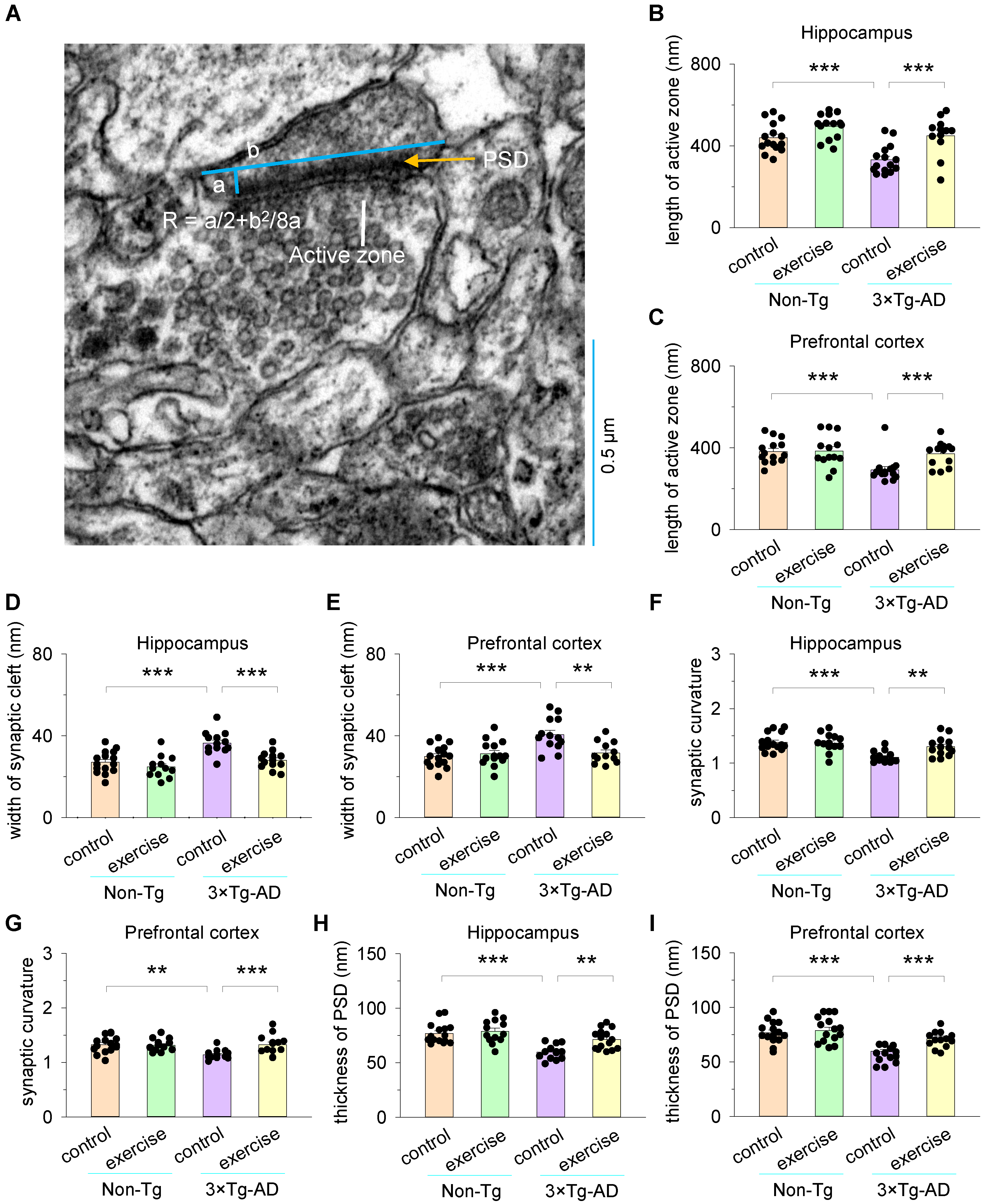 Cells 11 00244 g003 Cells 11 00244 g003