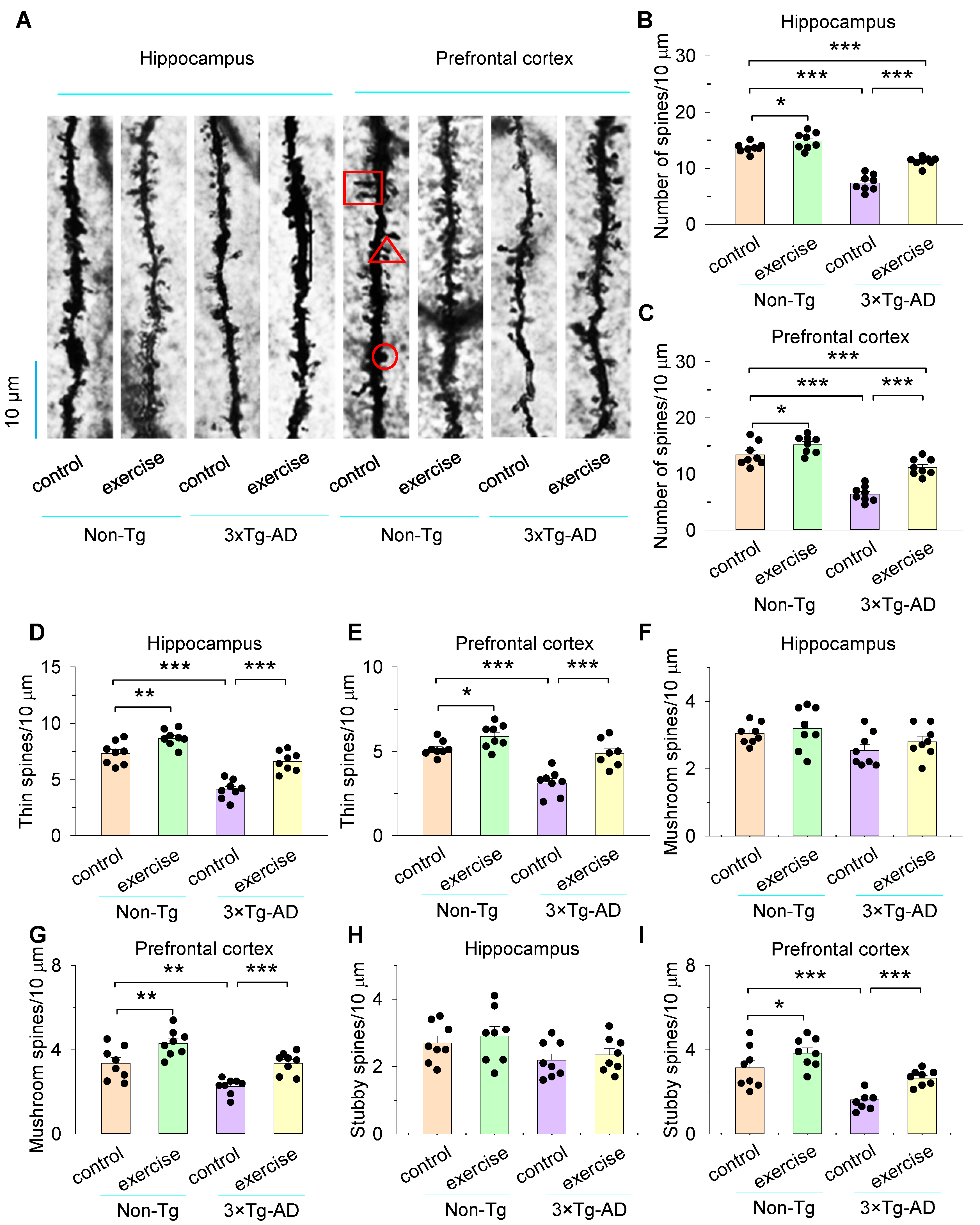 Cells 11 00244 g006 Cells 11 00244 g006