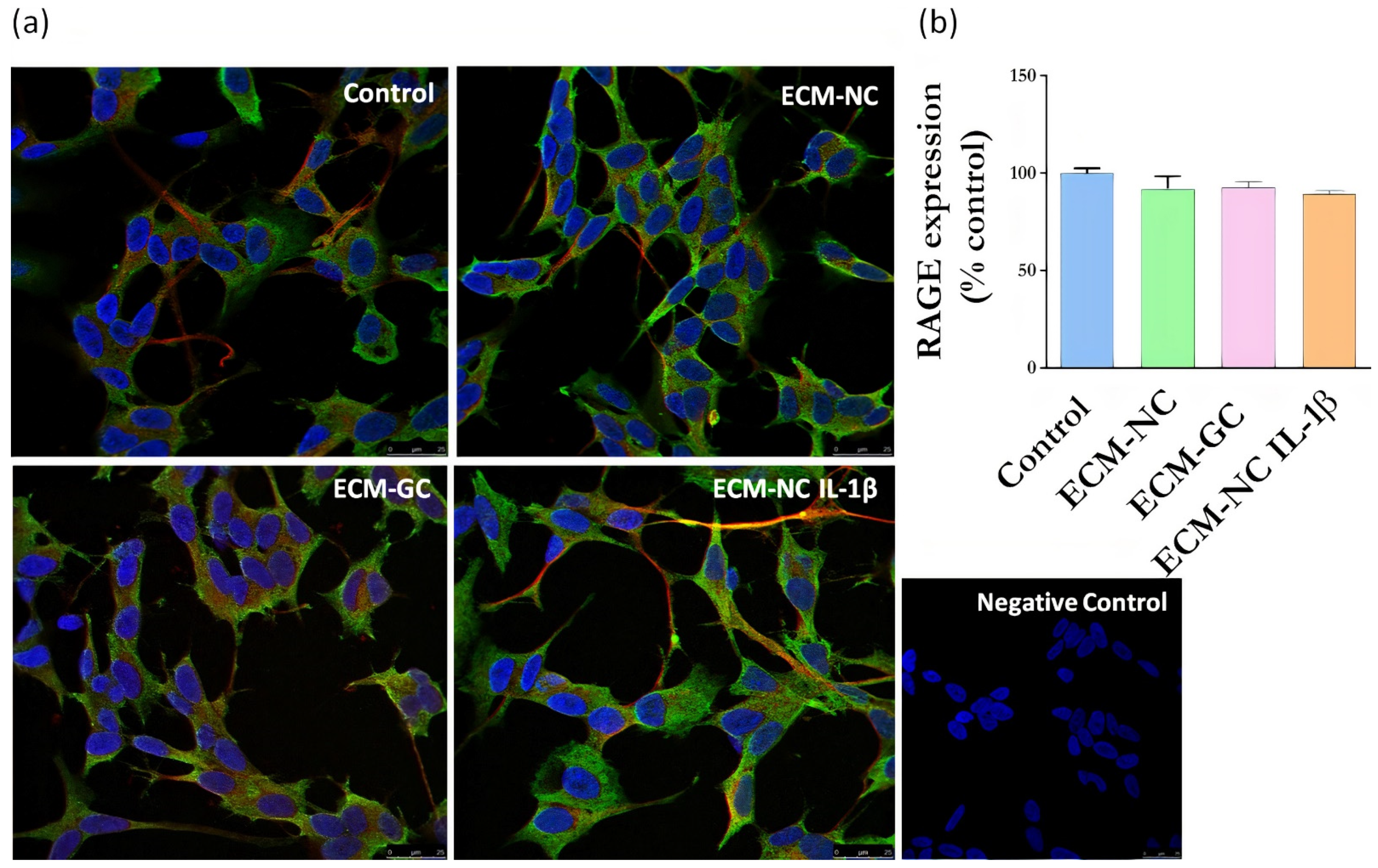 Cells 11 00247 g006 Cells 11 00247 g006