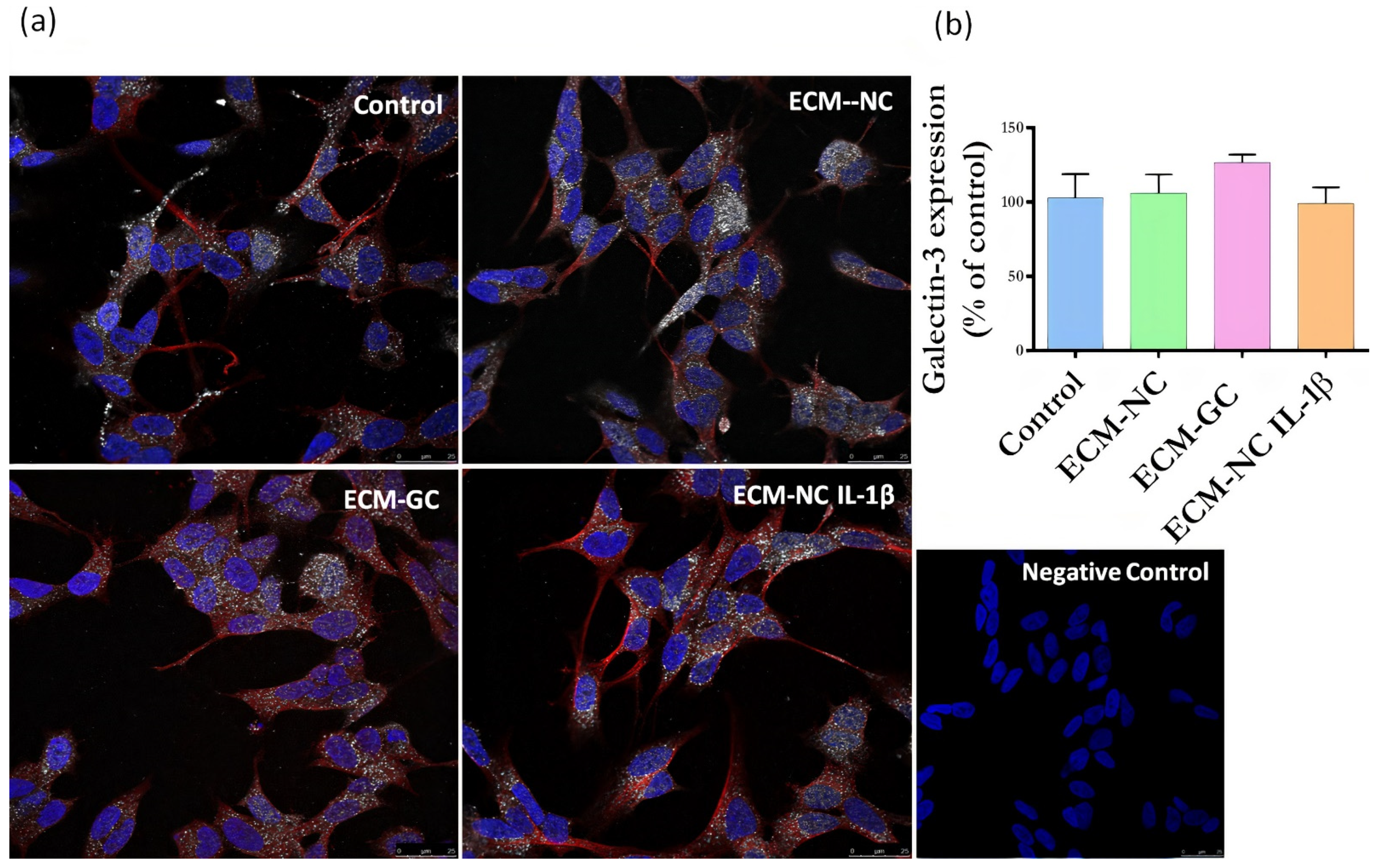 Cells 11 00247 g007 Cells 11 00247 g007