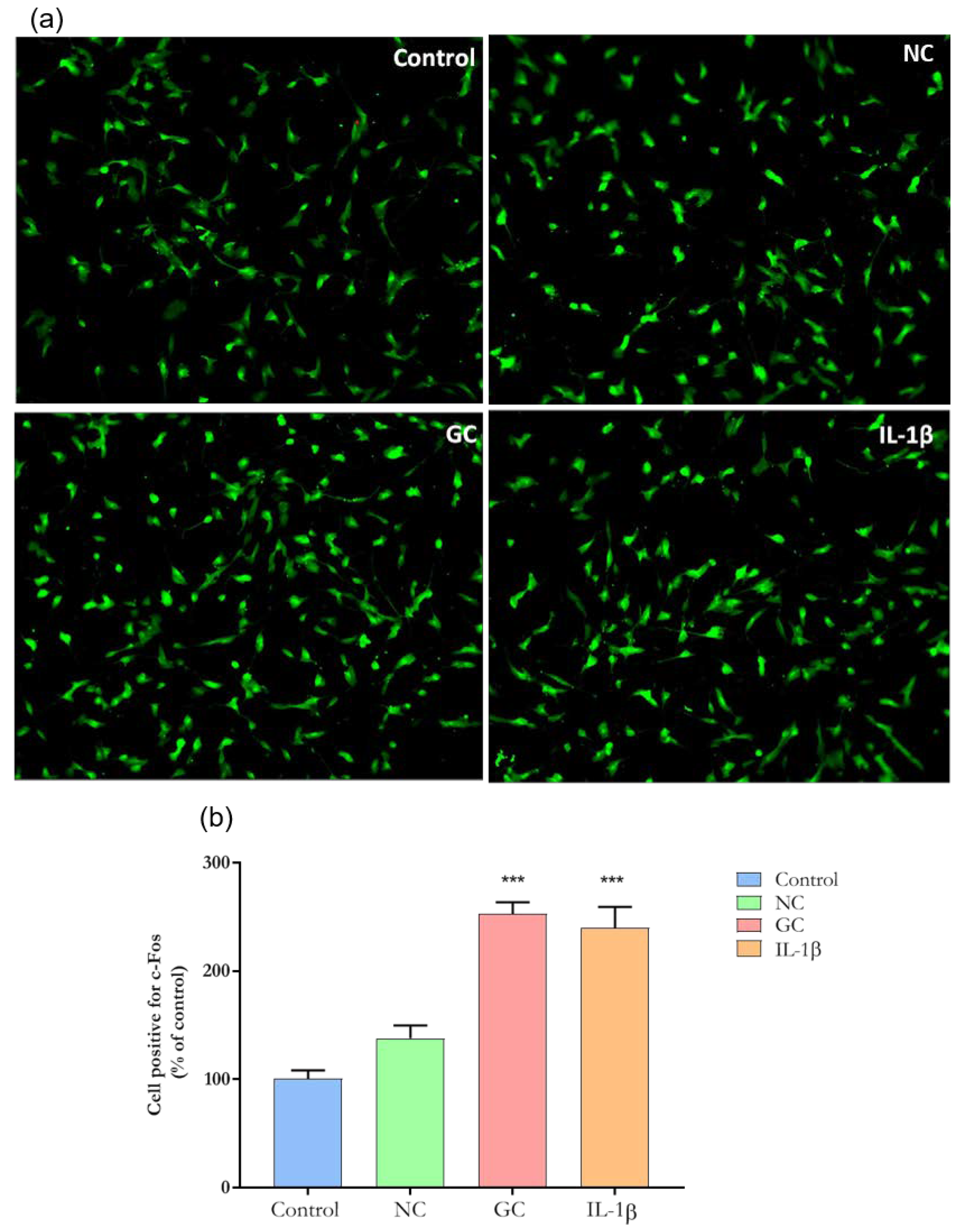 Cells 11 00247 g008 Cells 11 00247 g008