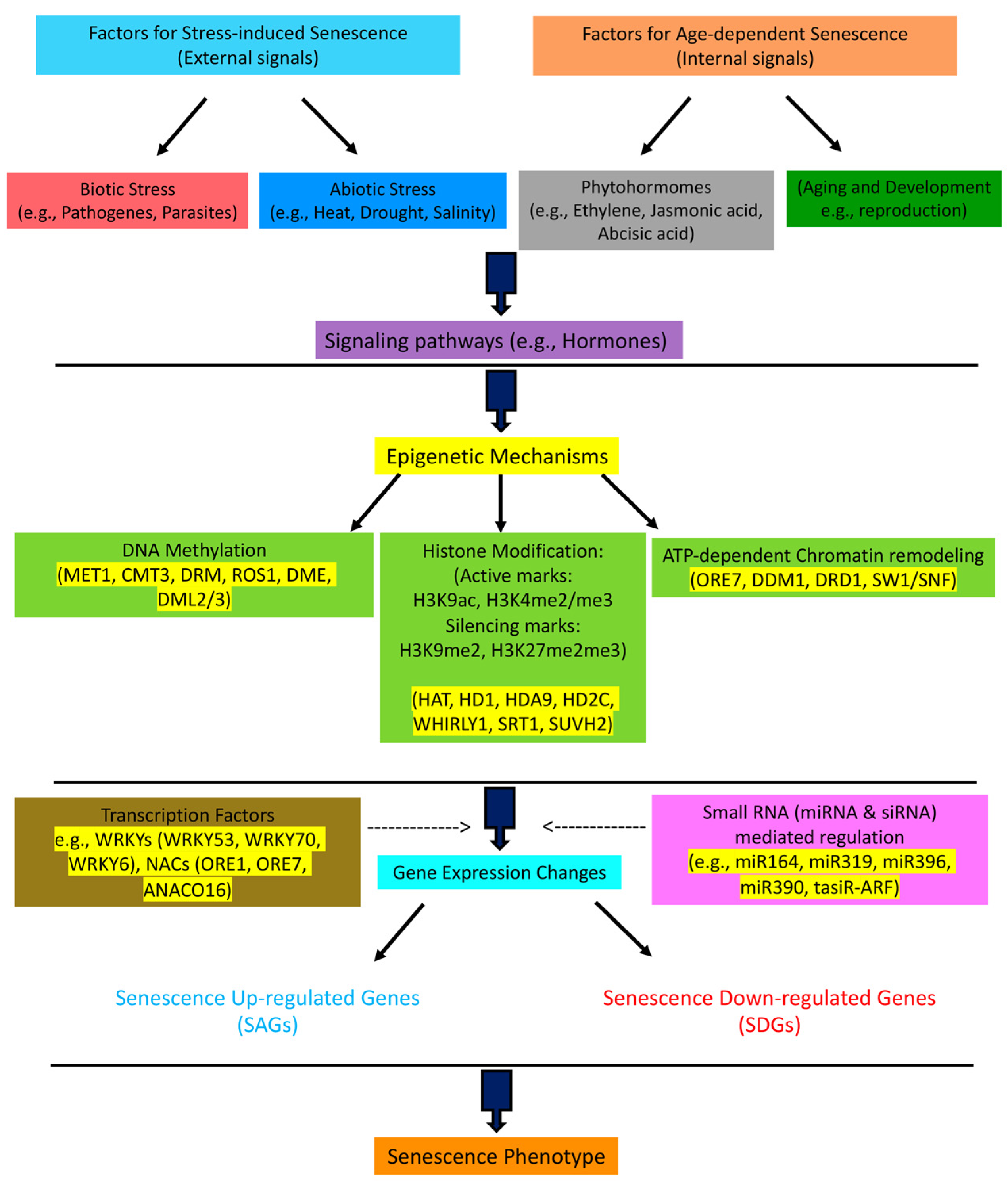 Cells 11 00251 g001 Cells 11 00251 g001
