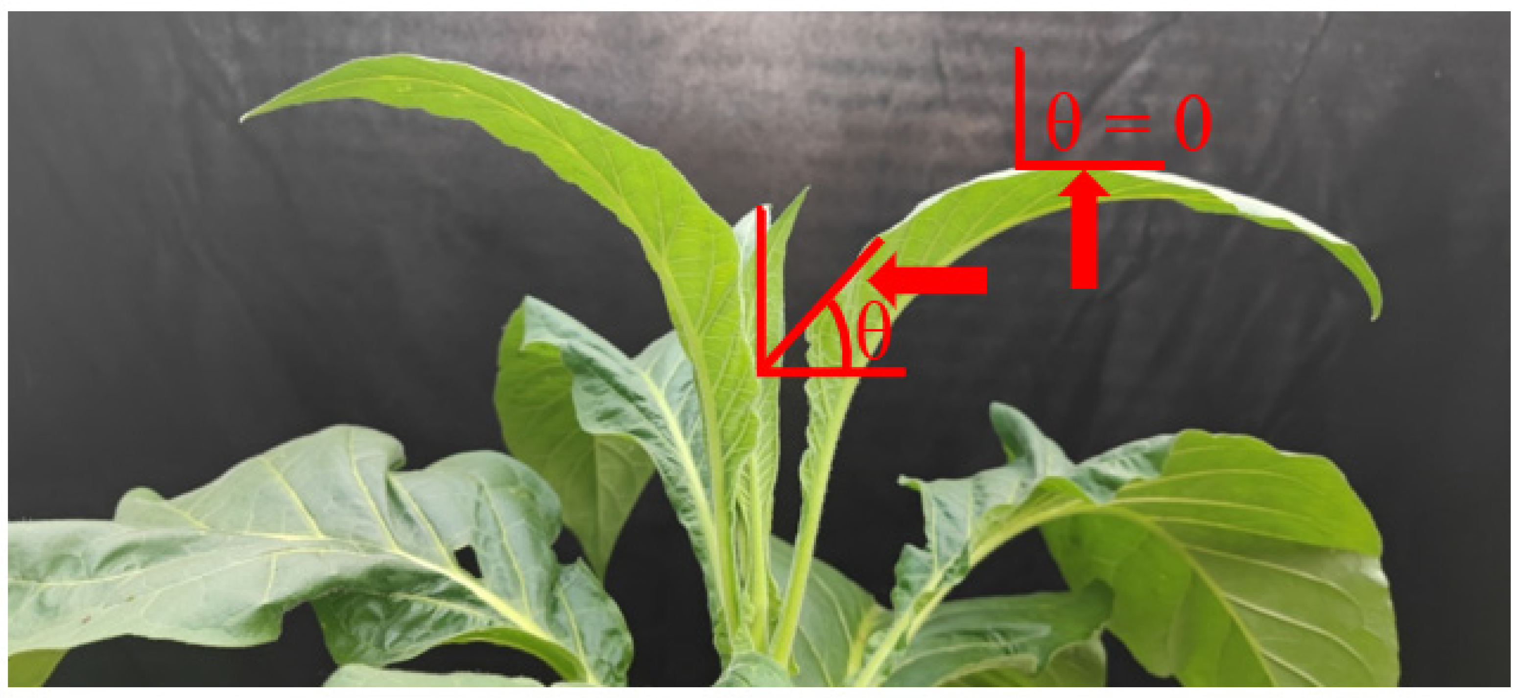 Cells 11 00252 g001 550