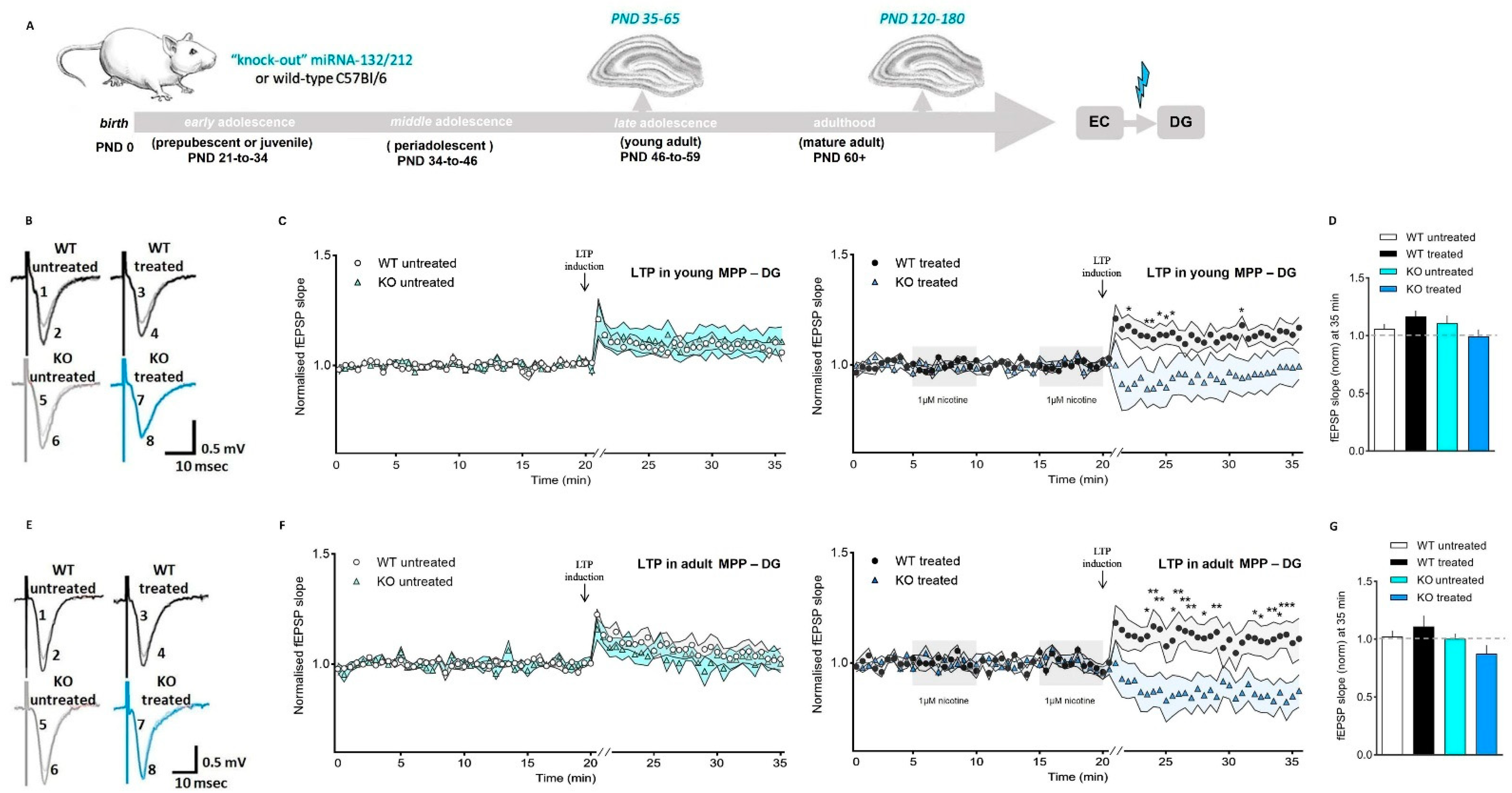 Cells 11 00261 g005 Cells 11 00261 g005