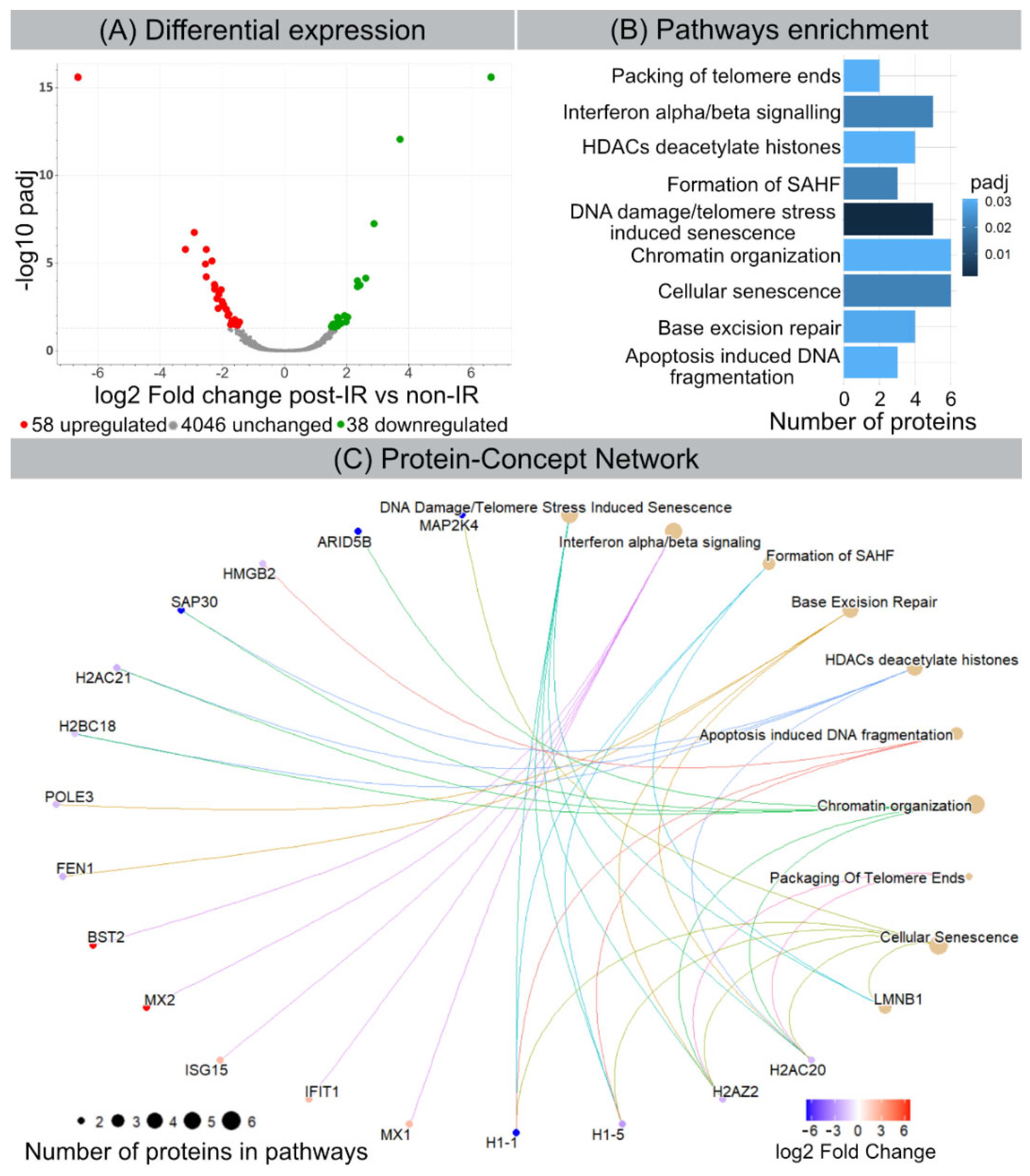 Cells 11 00273 g002 550