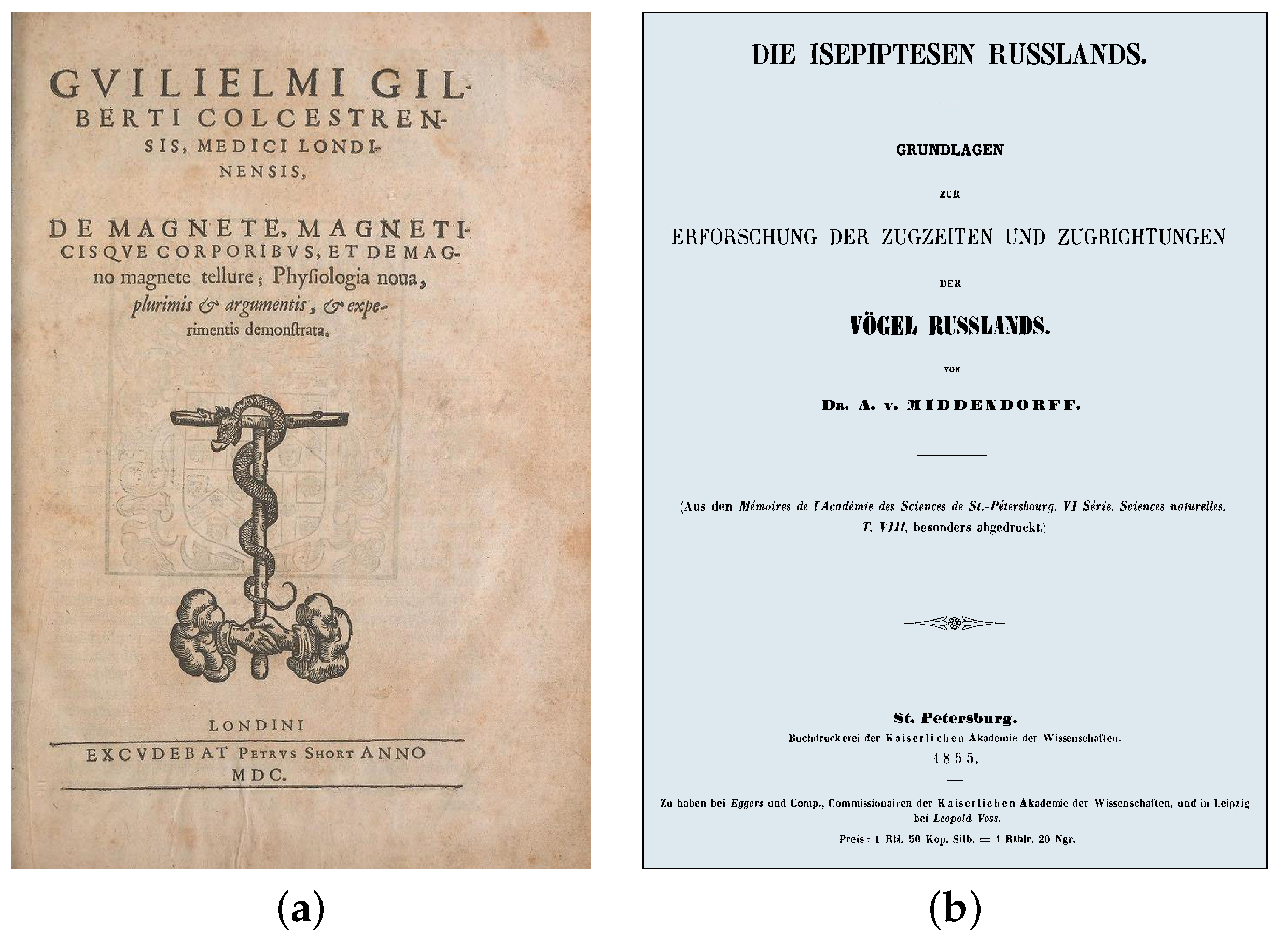 Cells 11 00274 g001 550