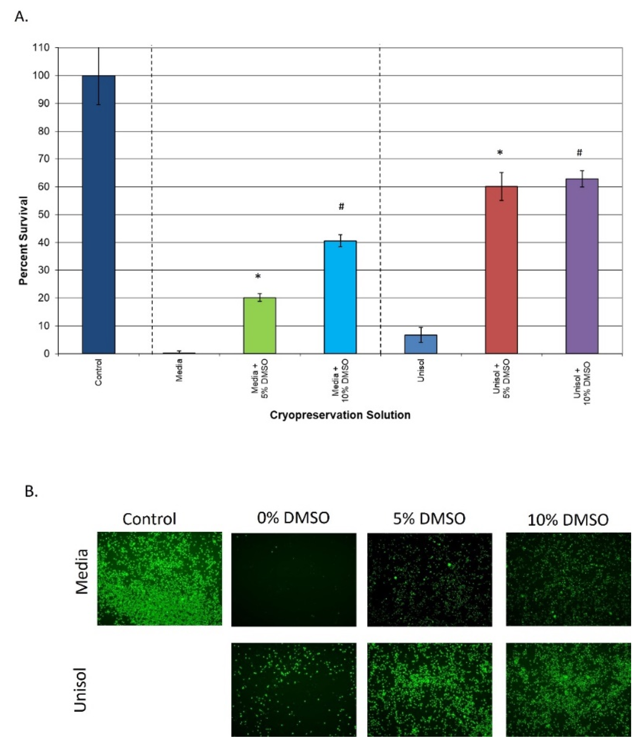 Cells 11 00278 g002 Cells 11 00278 g002