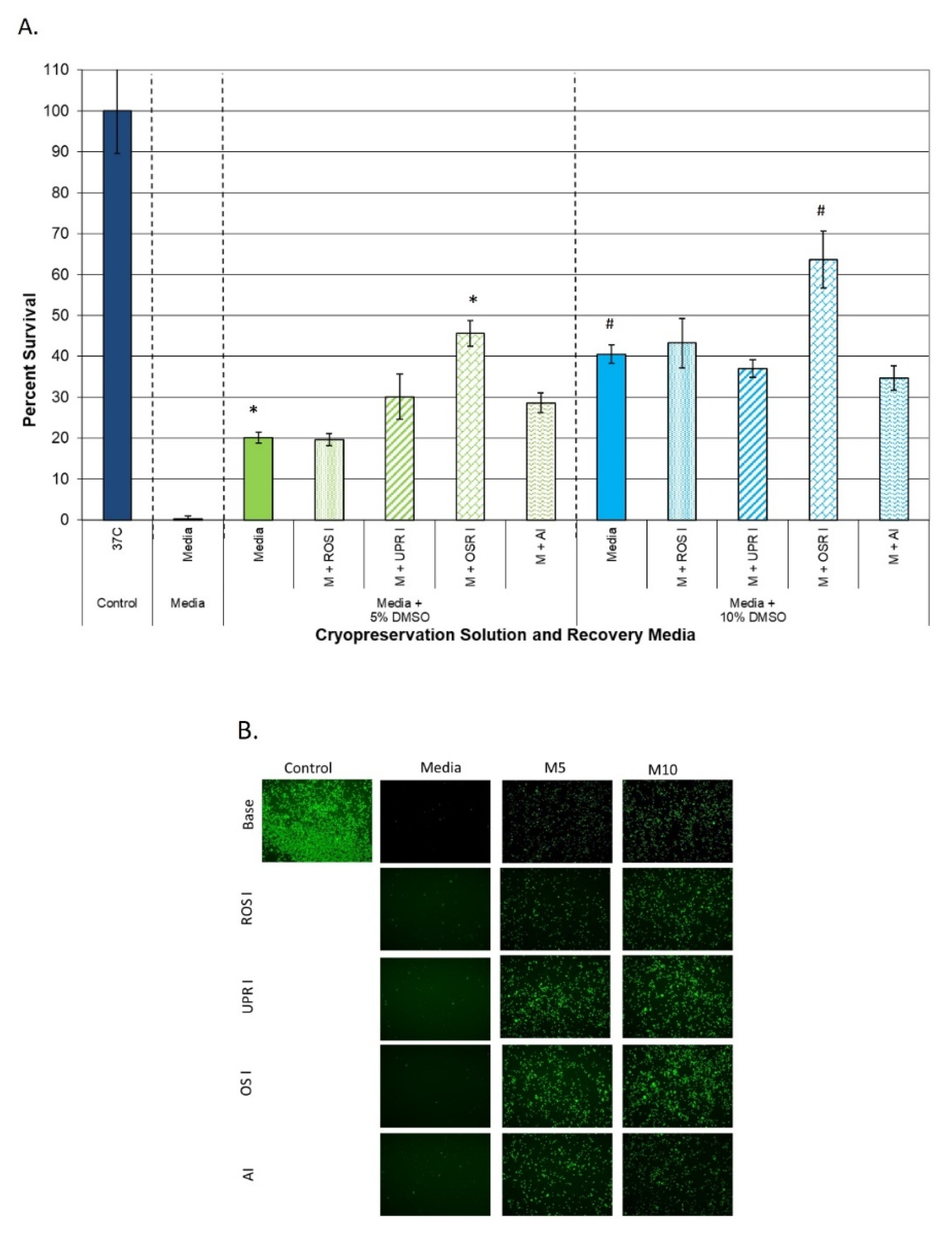 Cells 11 00278 g003 Cells 11 00278 g003