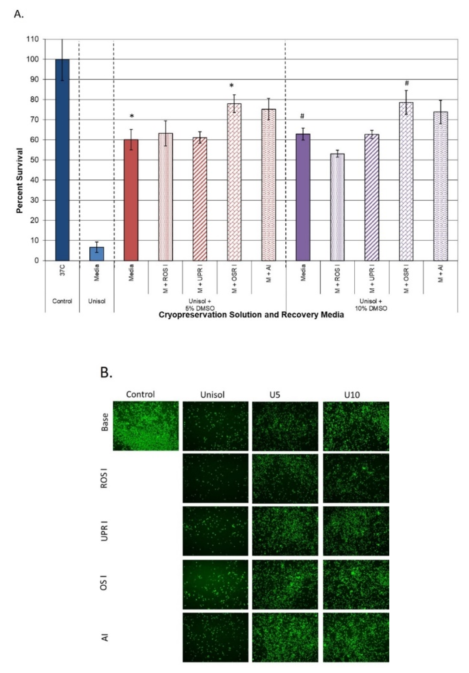 Cells 11 00278 g004 Cells 11 00278 g004