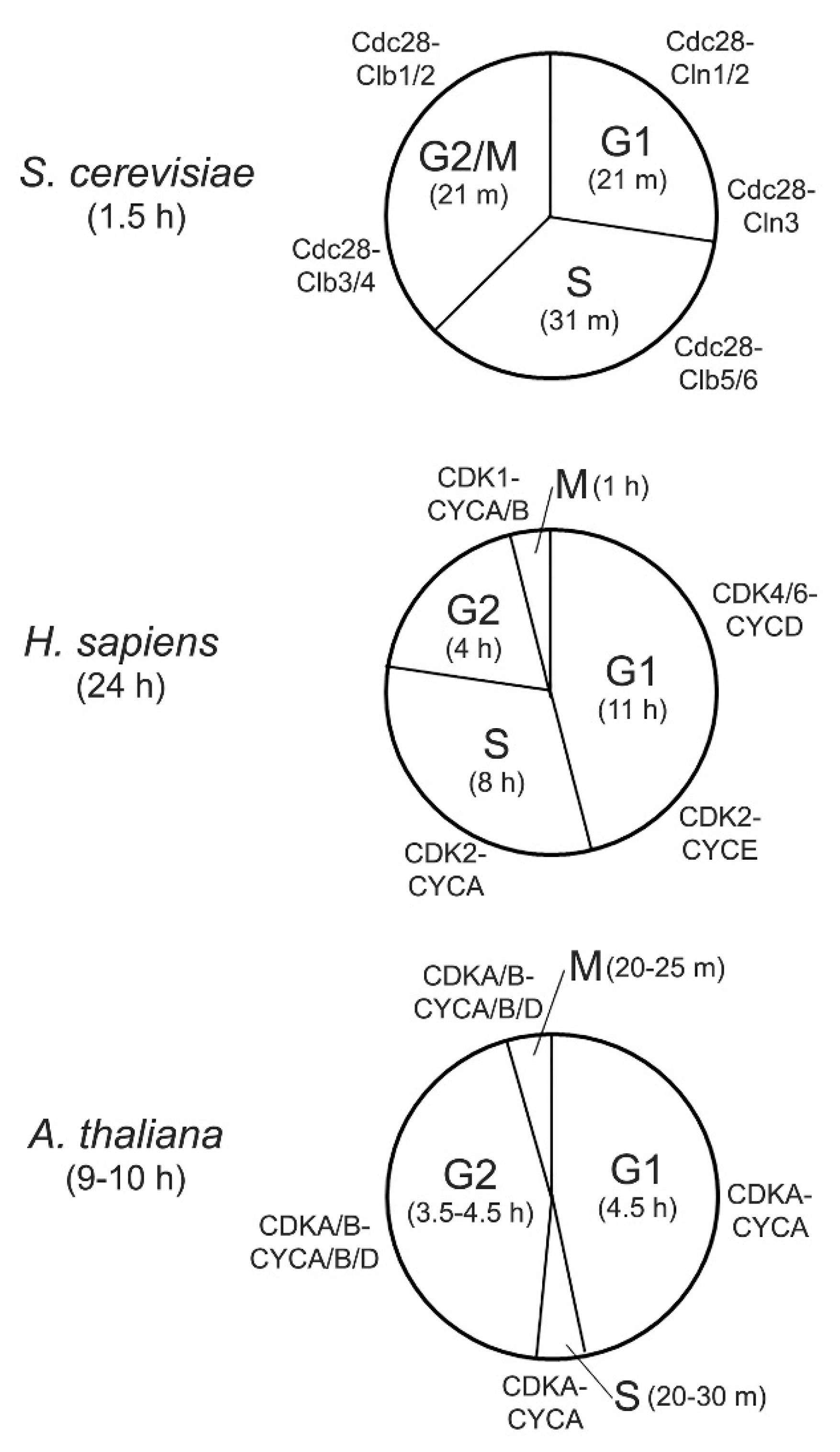 Cells 11 00279 g001 Cells 11 00279 g001