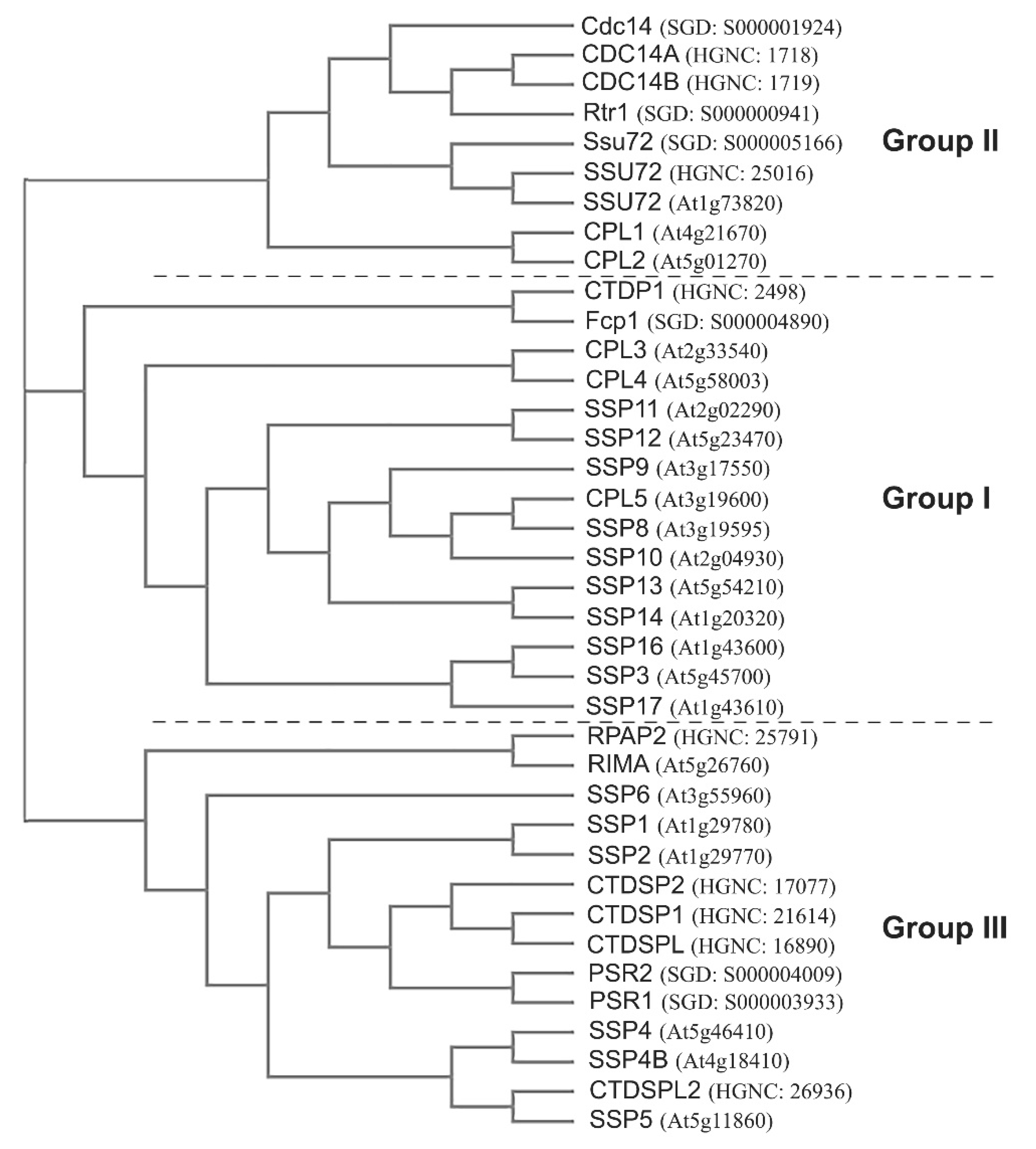 Cells 11 00279 g003 Cells 11 00279 g003