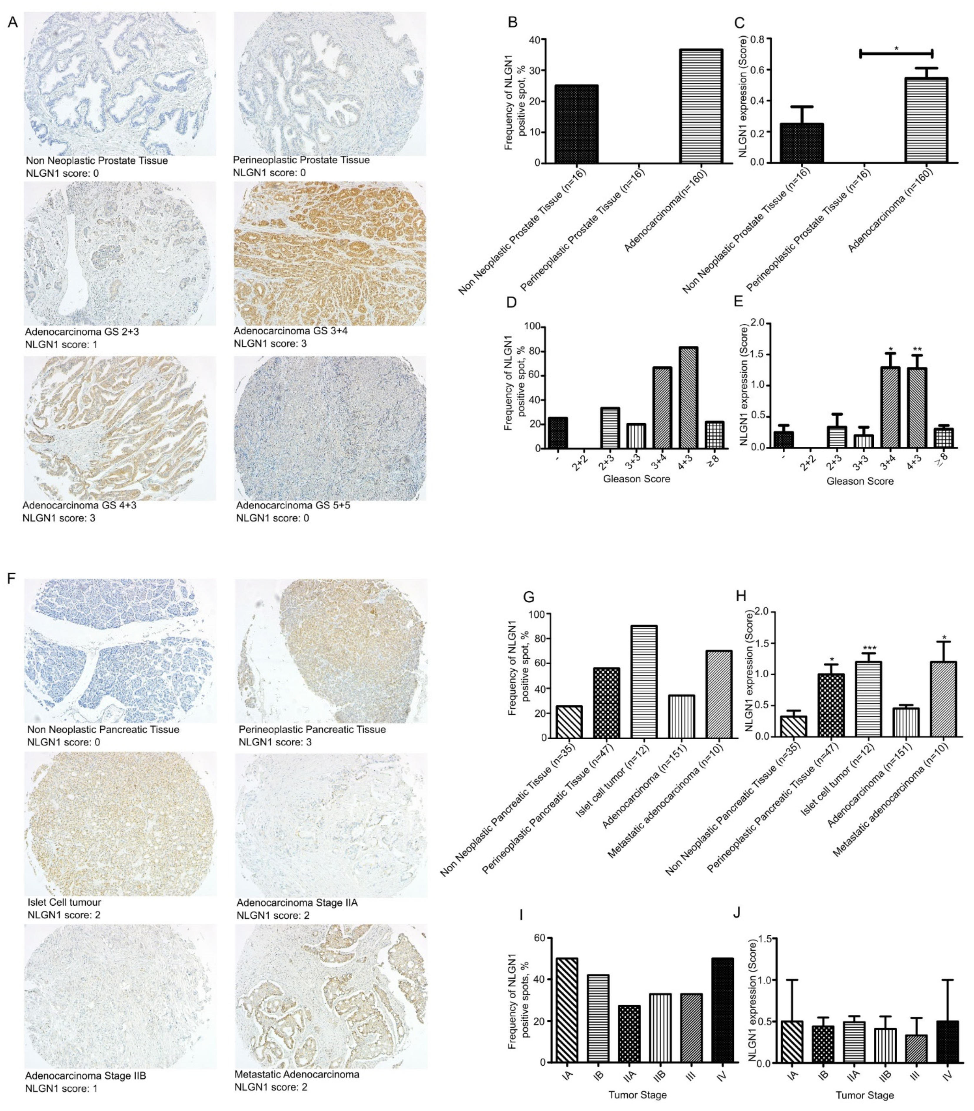 Cells 11 00280 g001 Cells 11 00280 g001