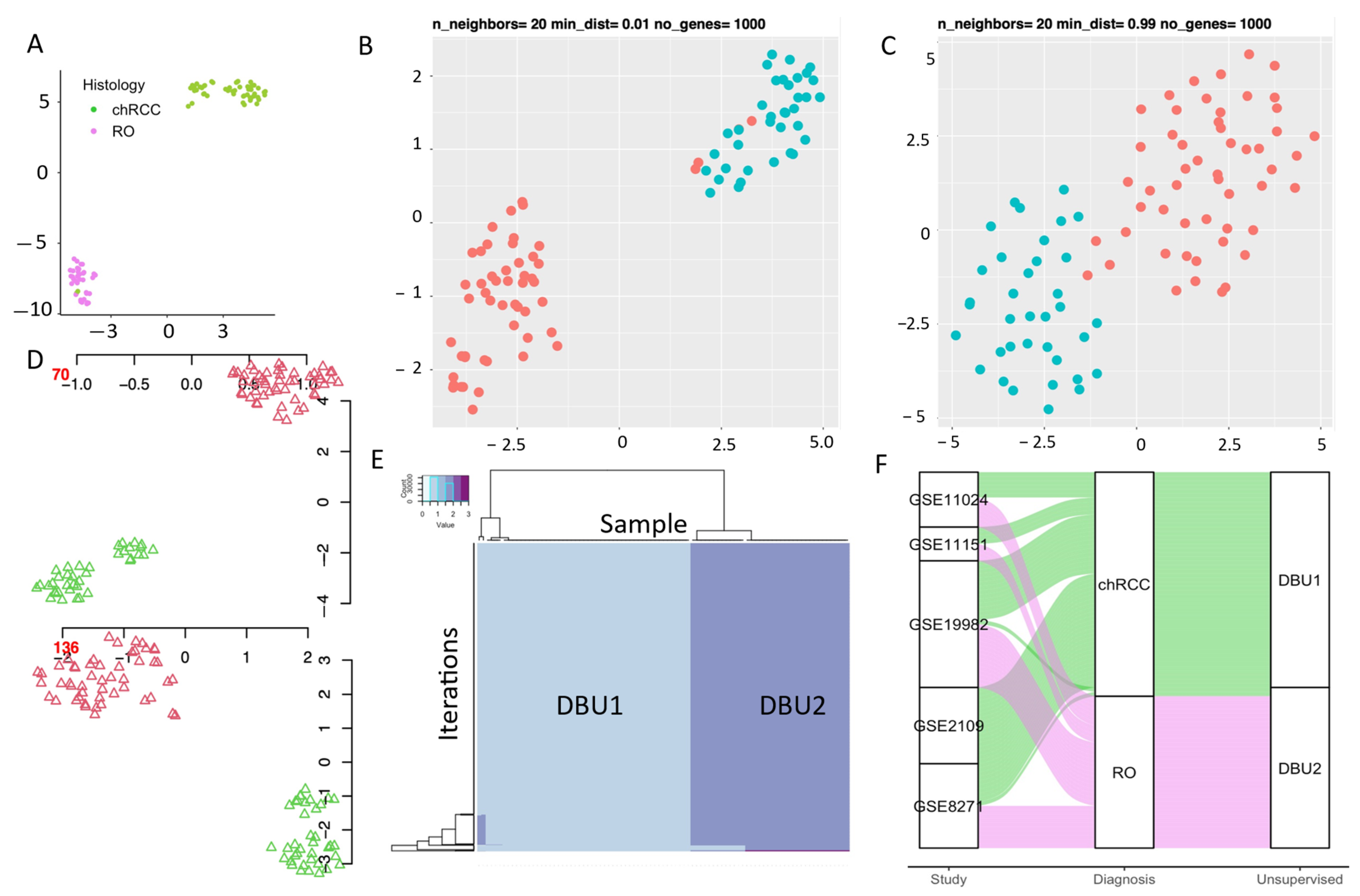 Cells 11 00287 g003 Cells 11 00287 g003