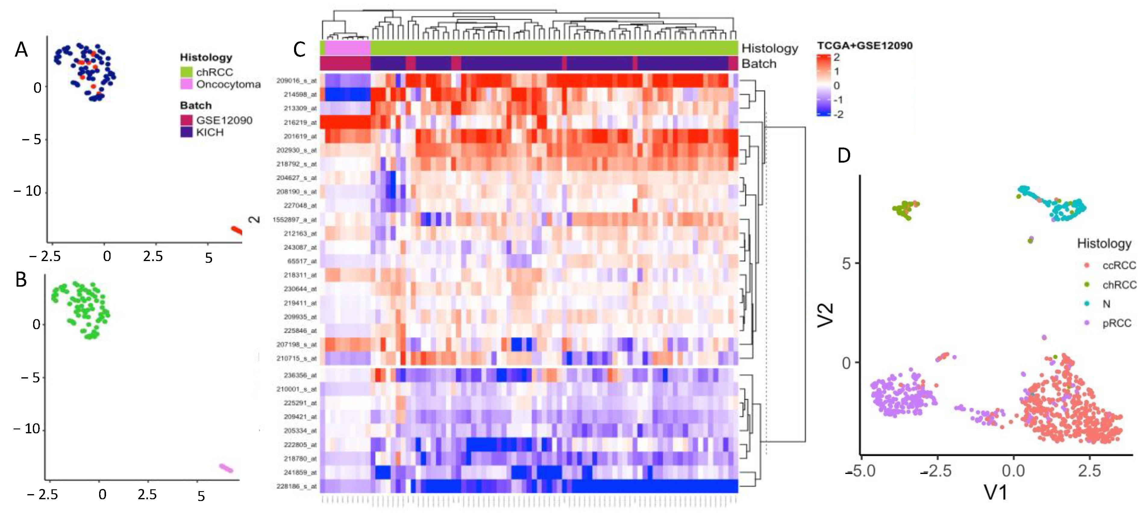 Cells 11 00287 g006 Cells 11 00287 g006