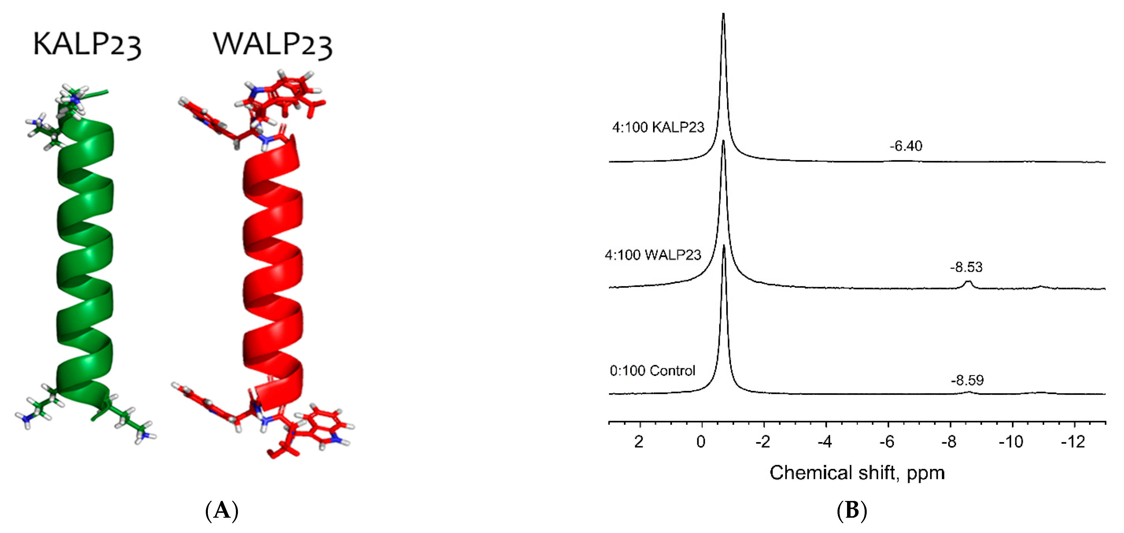 Cells 11 00290 g001a
