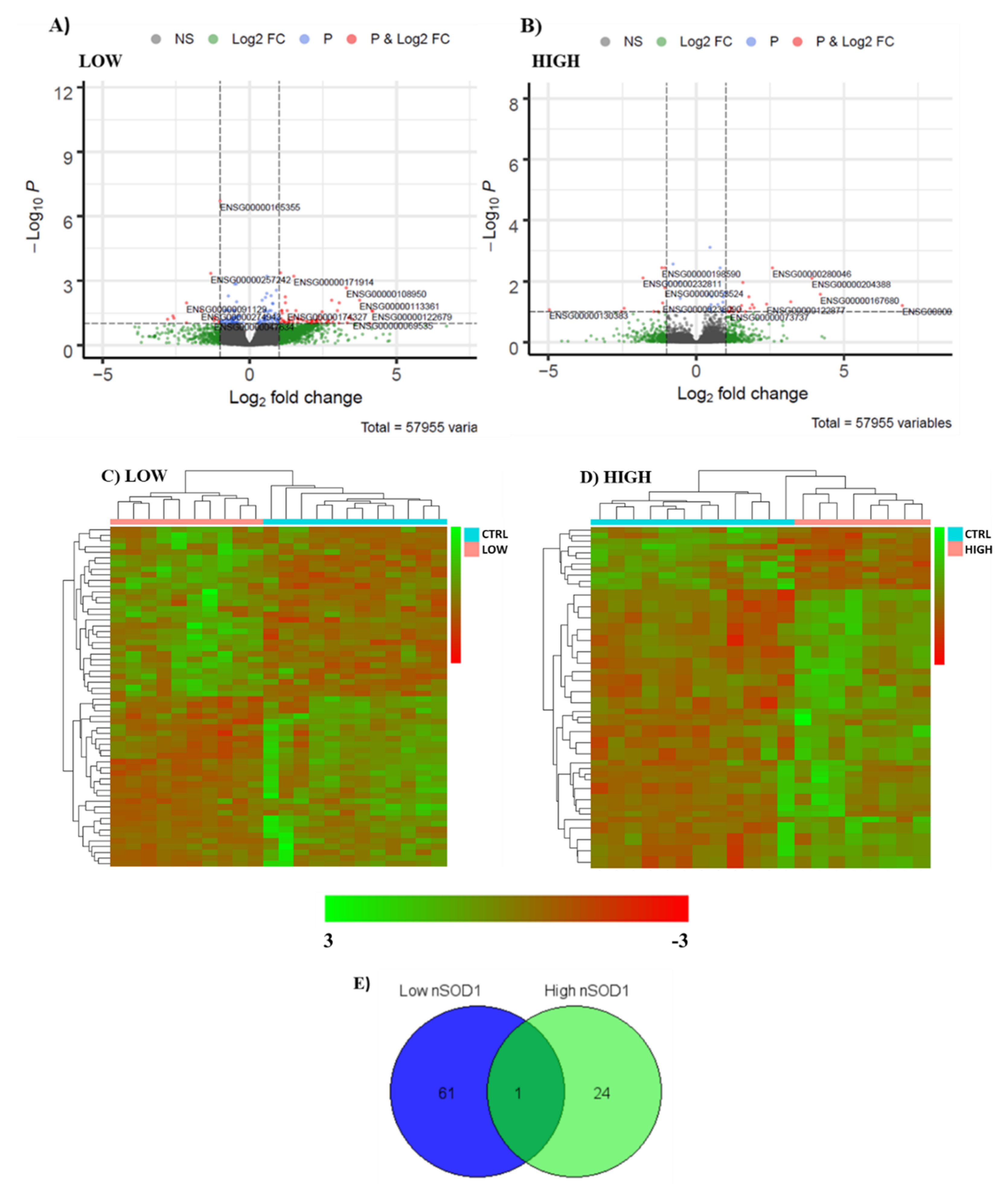 Cells 11 00293 g002 Cells 11 00293 g002