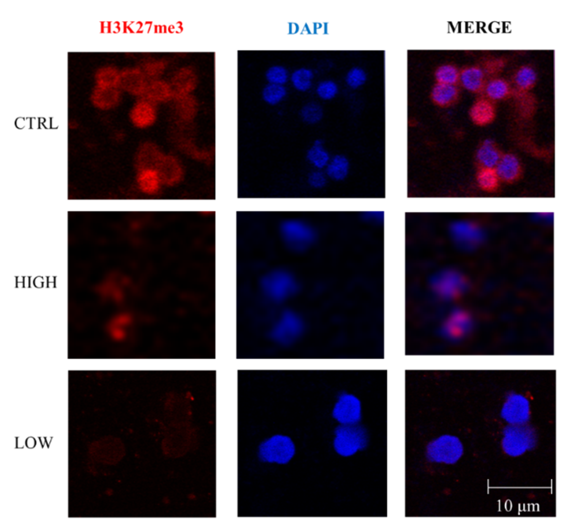 Cells 11 00293 g004 Cells 11 00293 g004