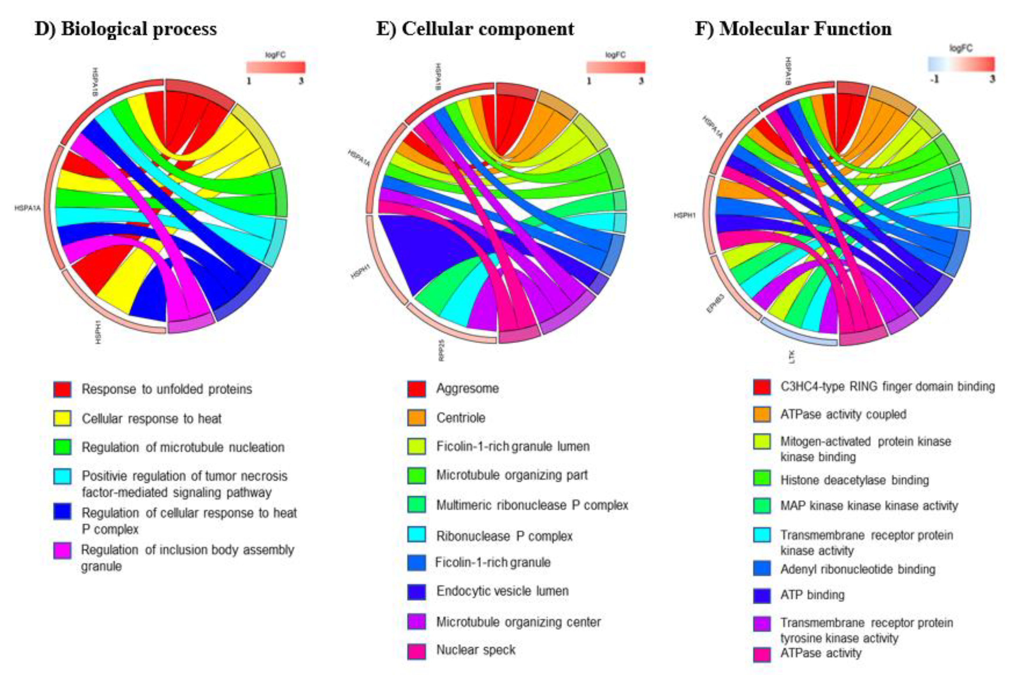Cells 11 00293 g005b Cells 11 00293 g005b