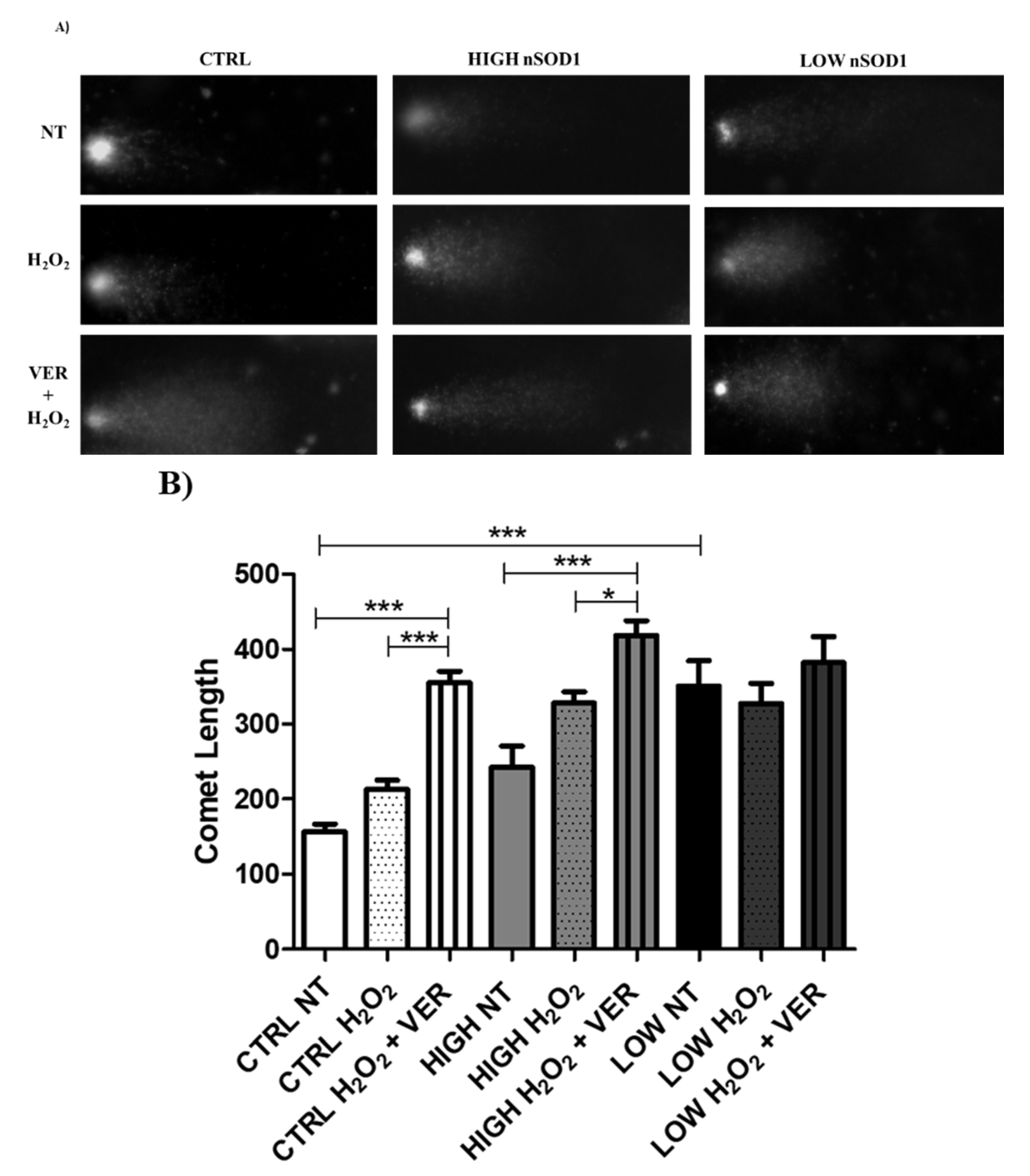 Cells 11 00293 g007 Cells 11 00293 g007
